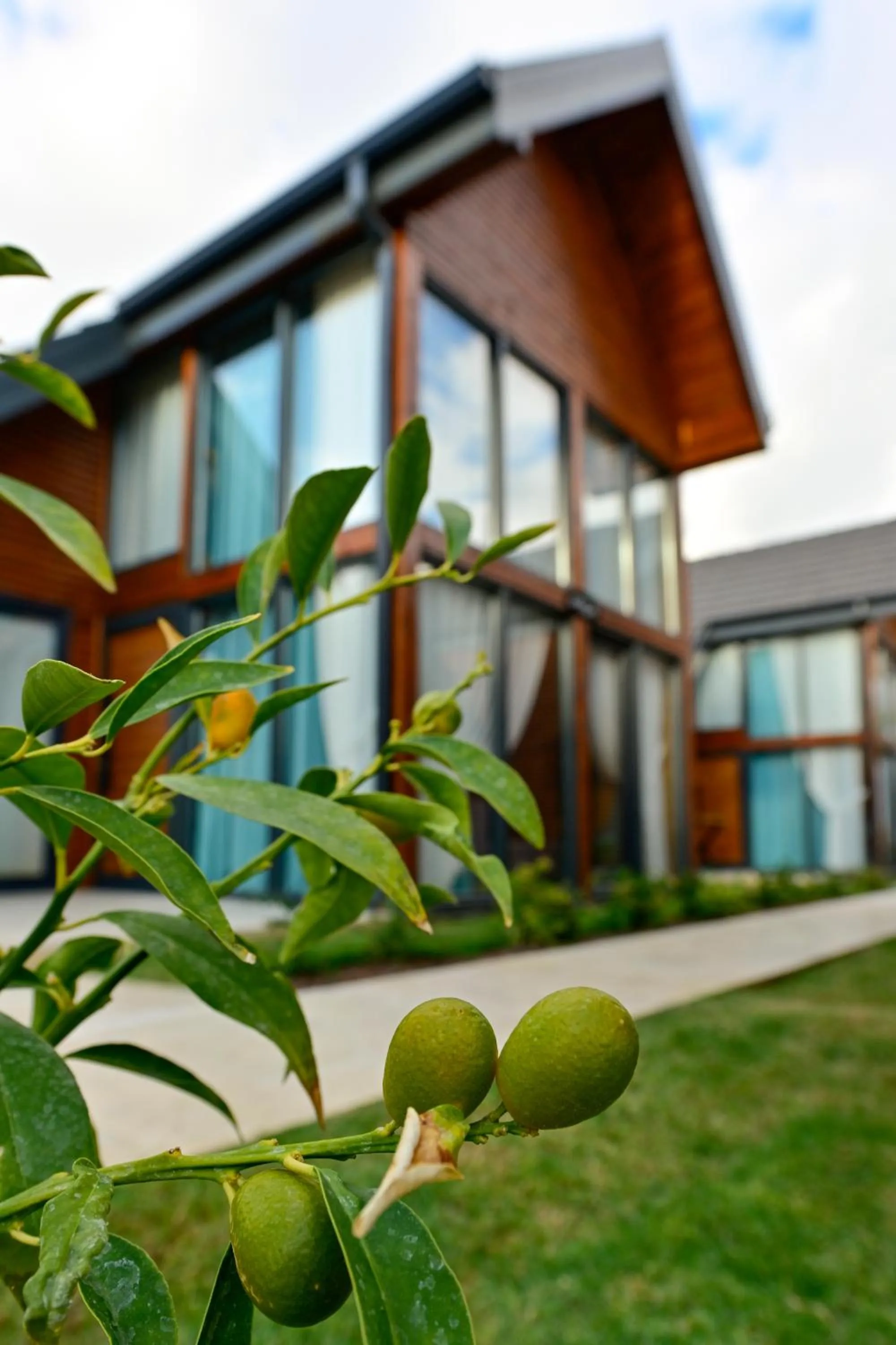 Garden in Villa d'Mare