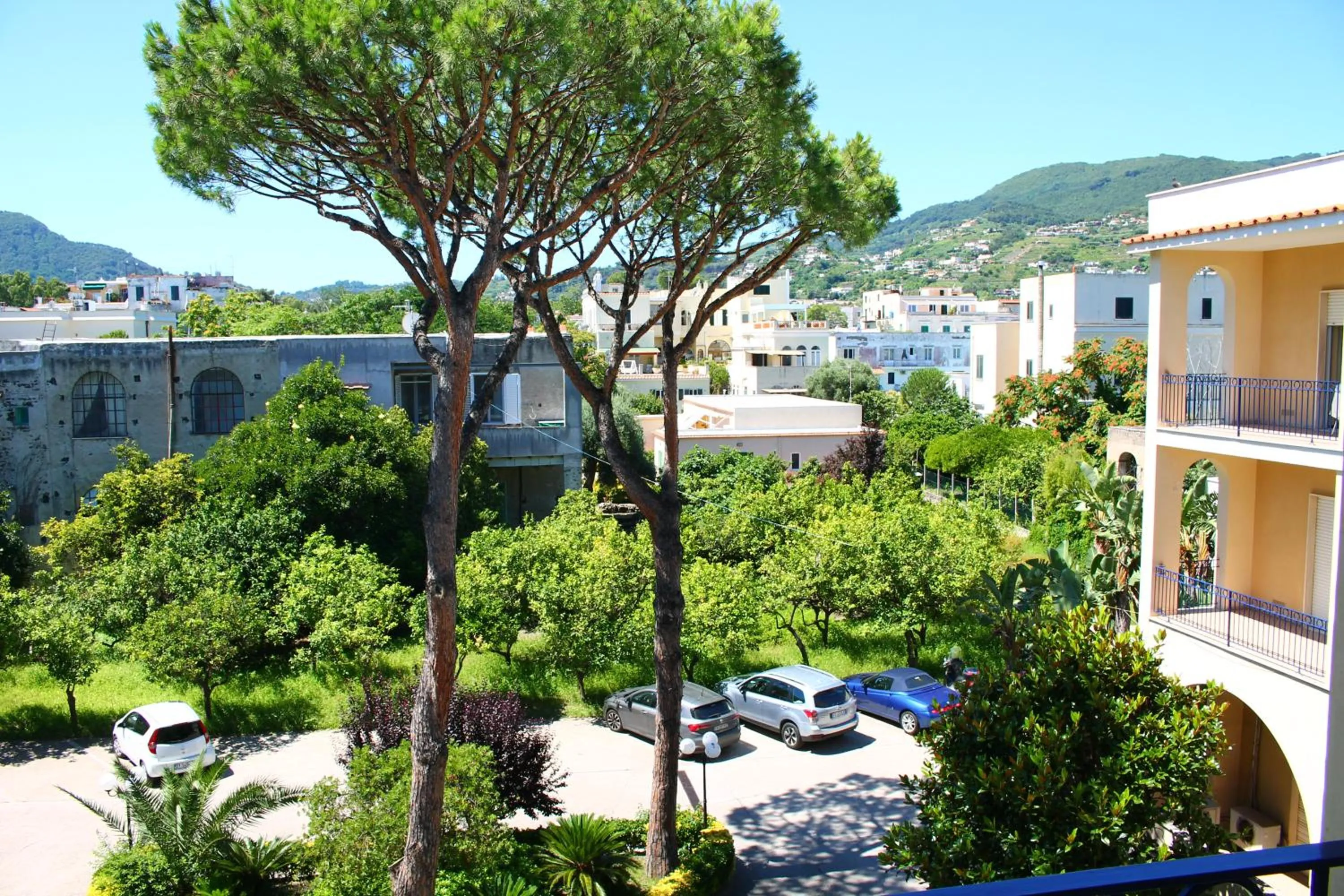 Garden view in Hotel Terme Alexander