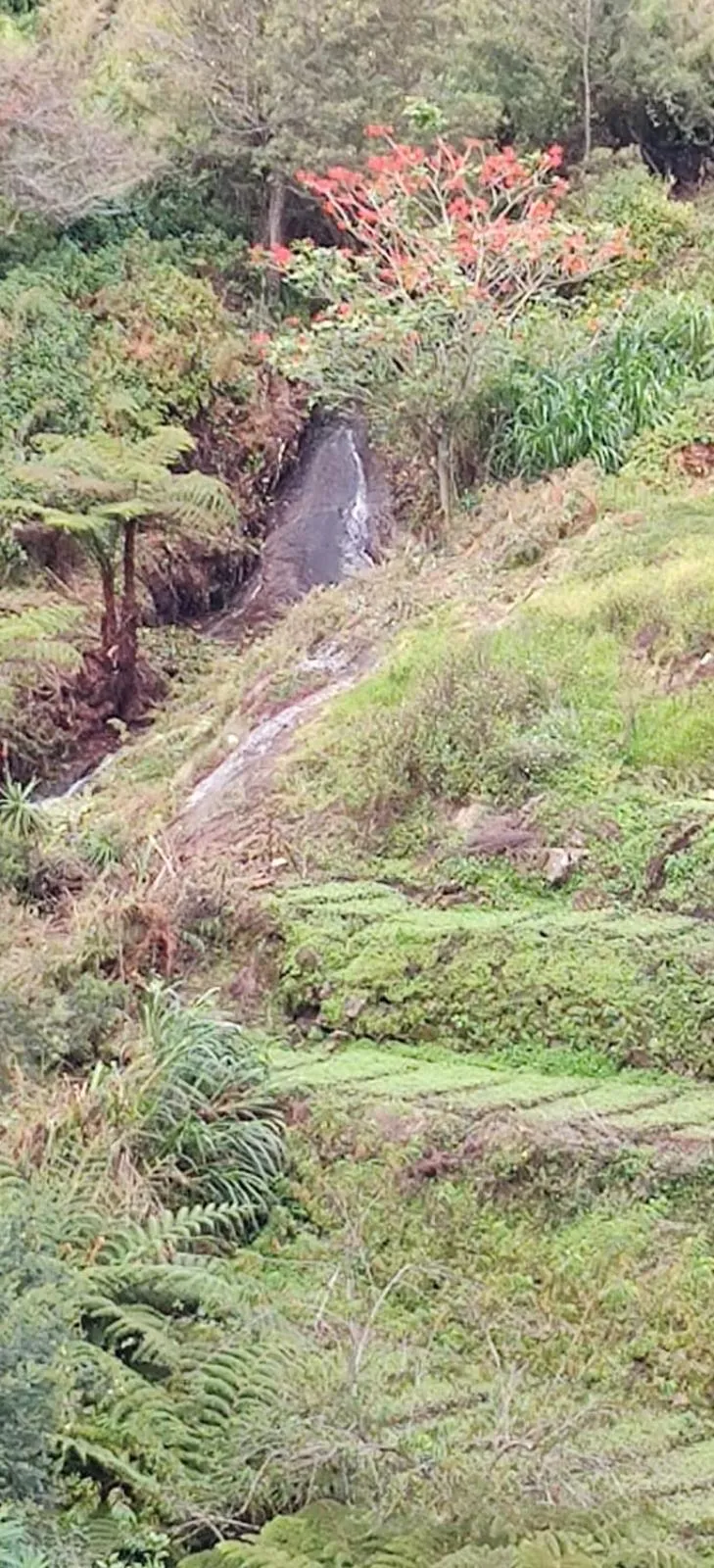 Bogar Palace Kodaikanal