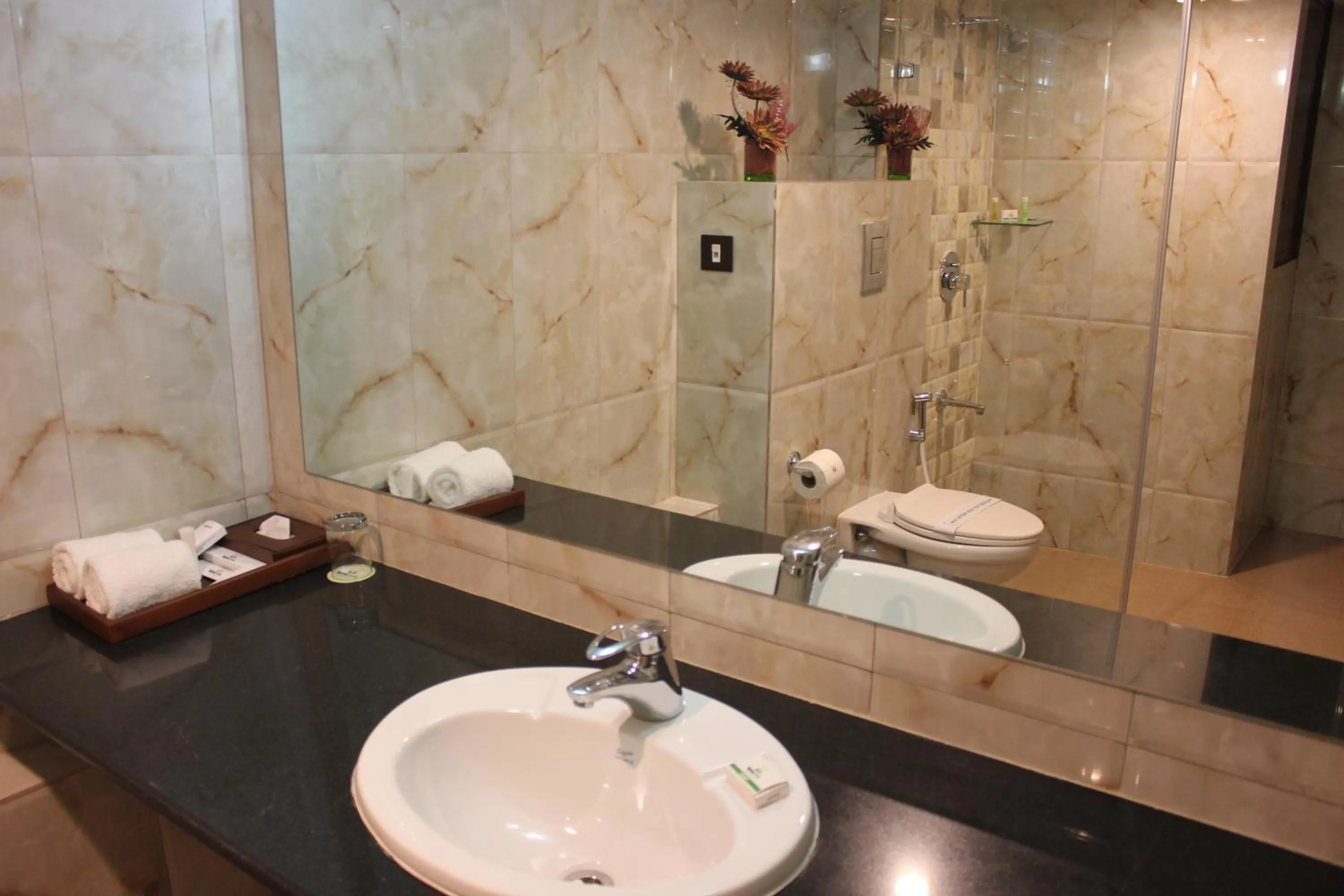 Bathroom in Hemaadri Grand