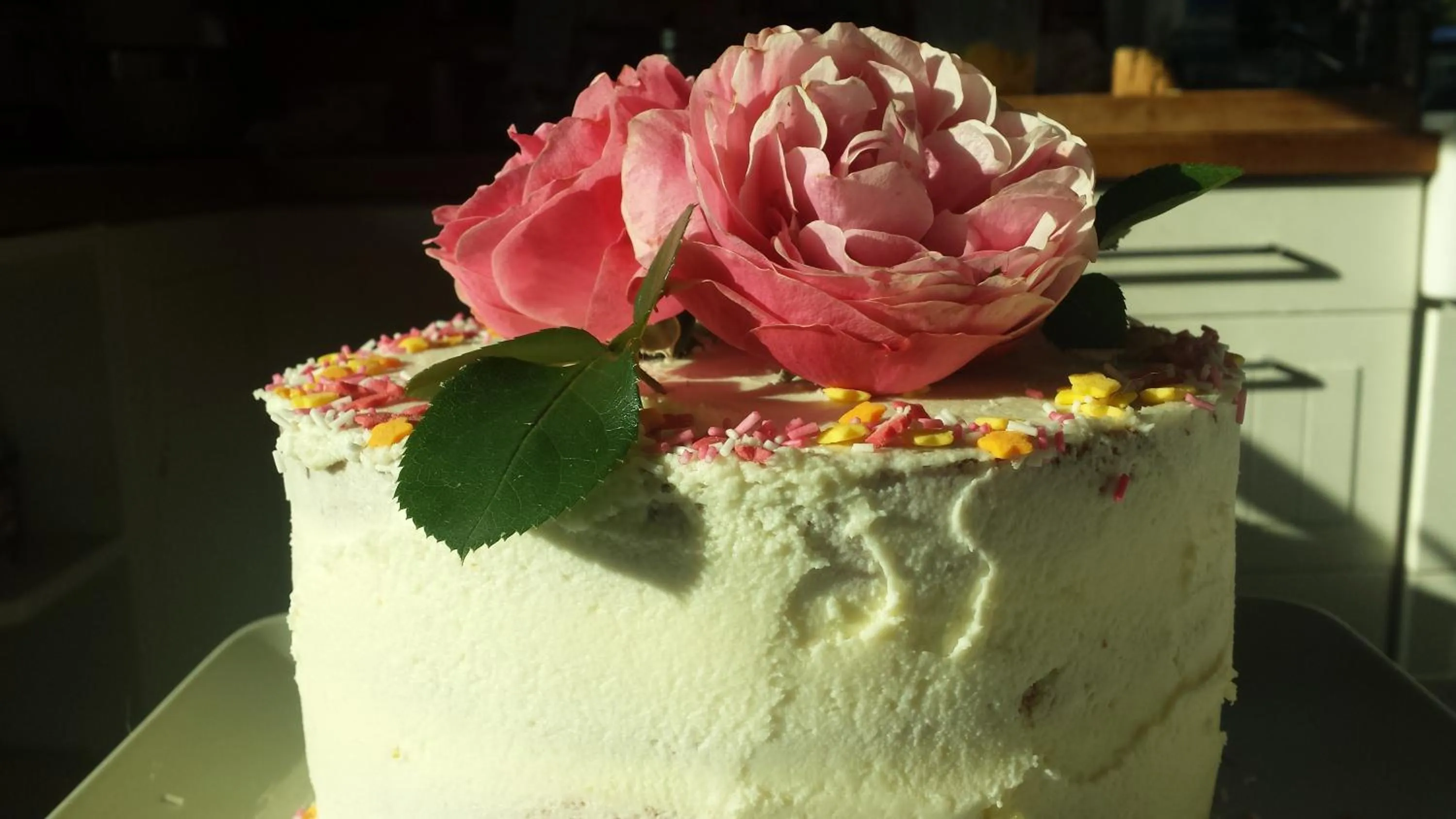 Food close-up in Motel Traffic