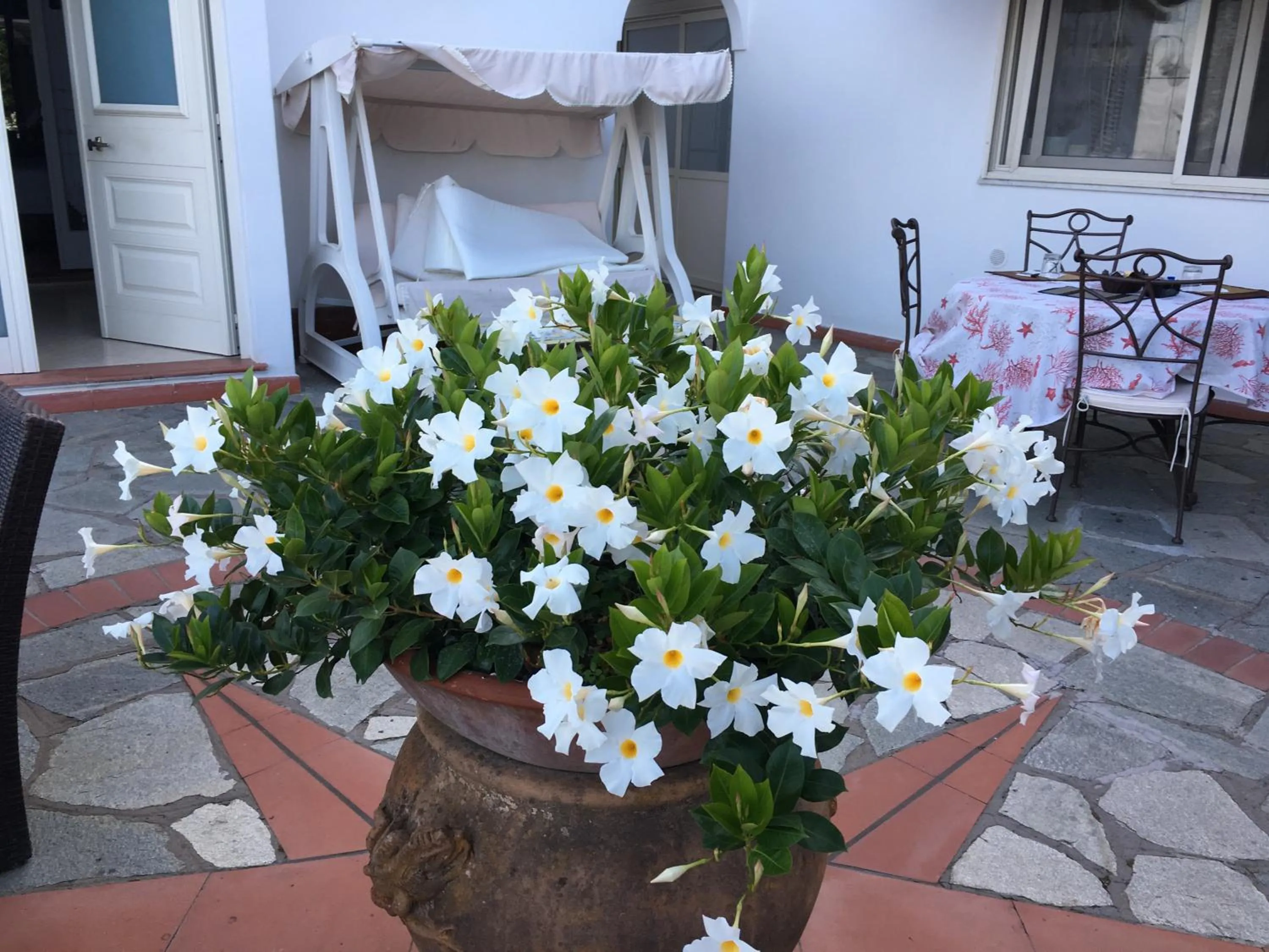 Patio in B&B Il Grappolo