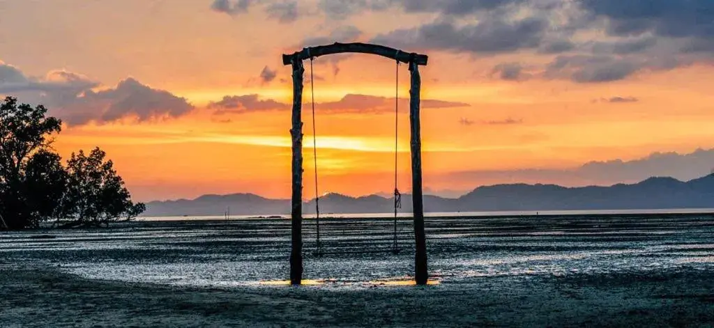 Bunk Bed in Mixed Dormitory Room in Bananas Resort & Restaurant Bunk Bed in Mixed Dormitory Room in Bananas Resort & Restaurant