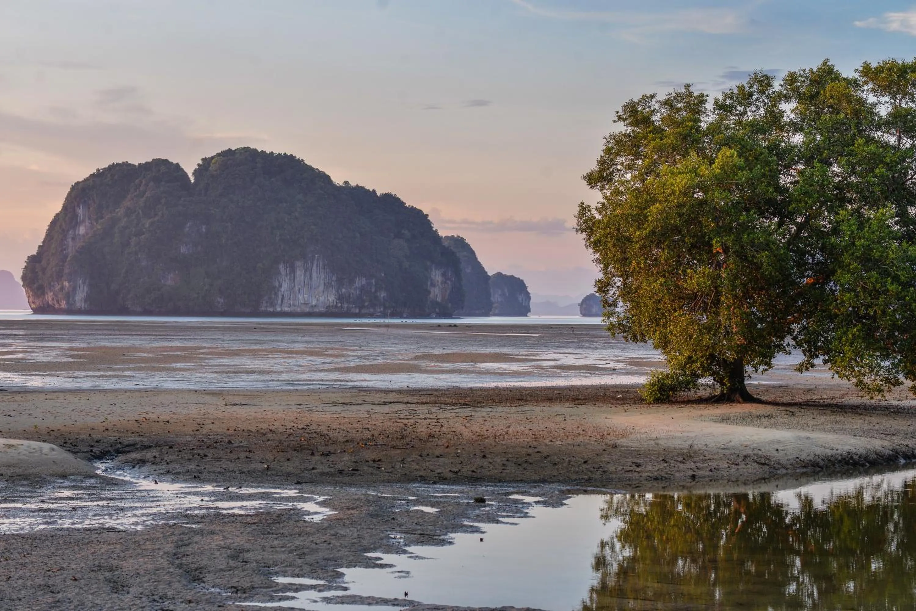 Natural landscape in Bananas Resort & Restaurant