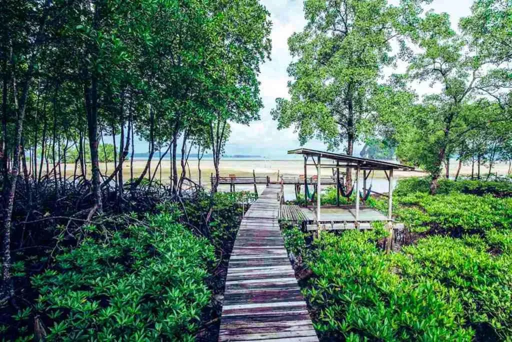 Bananas Resort & Restaurant