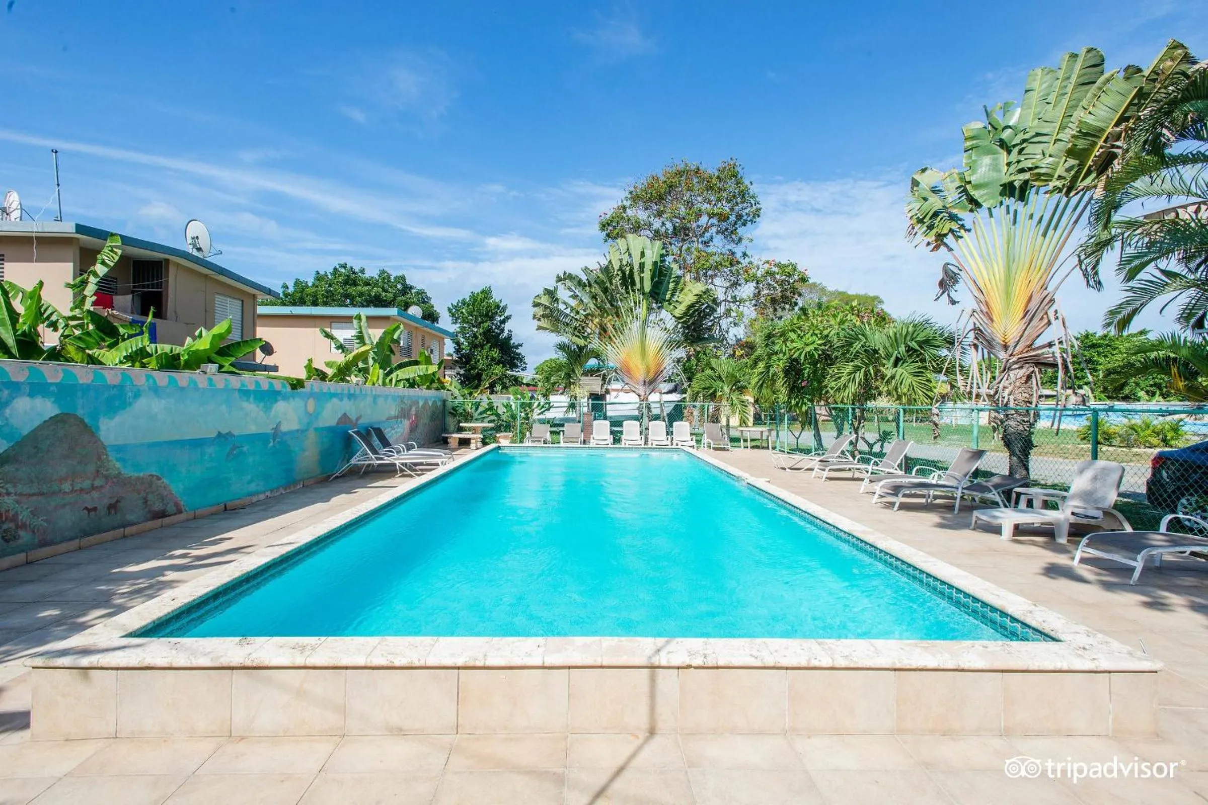 Swimming pool in West Coast Inn's