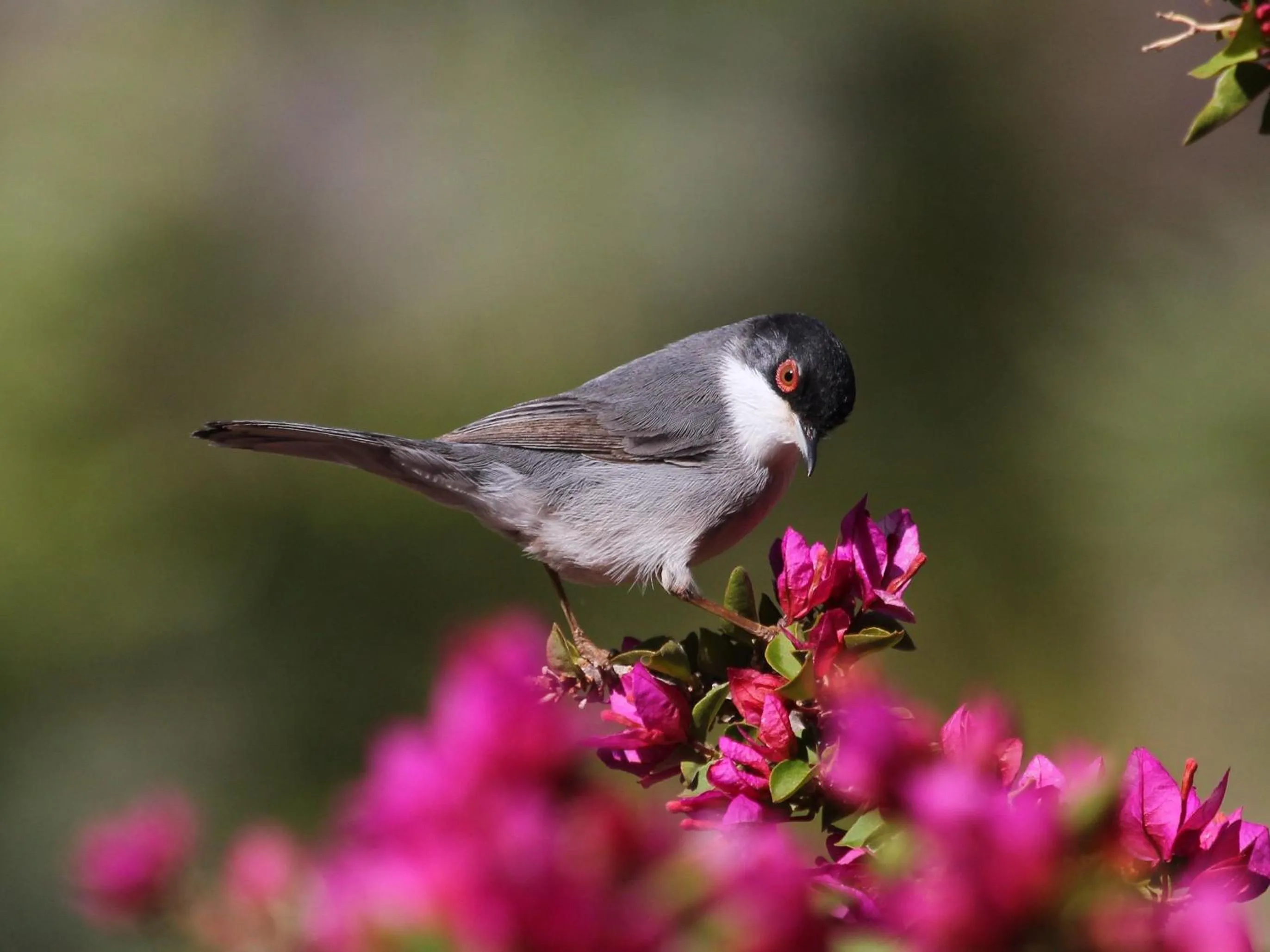 Natural landscape in Kasbah Africa - High Atlas Dark Sky & Nature Lodge