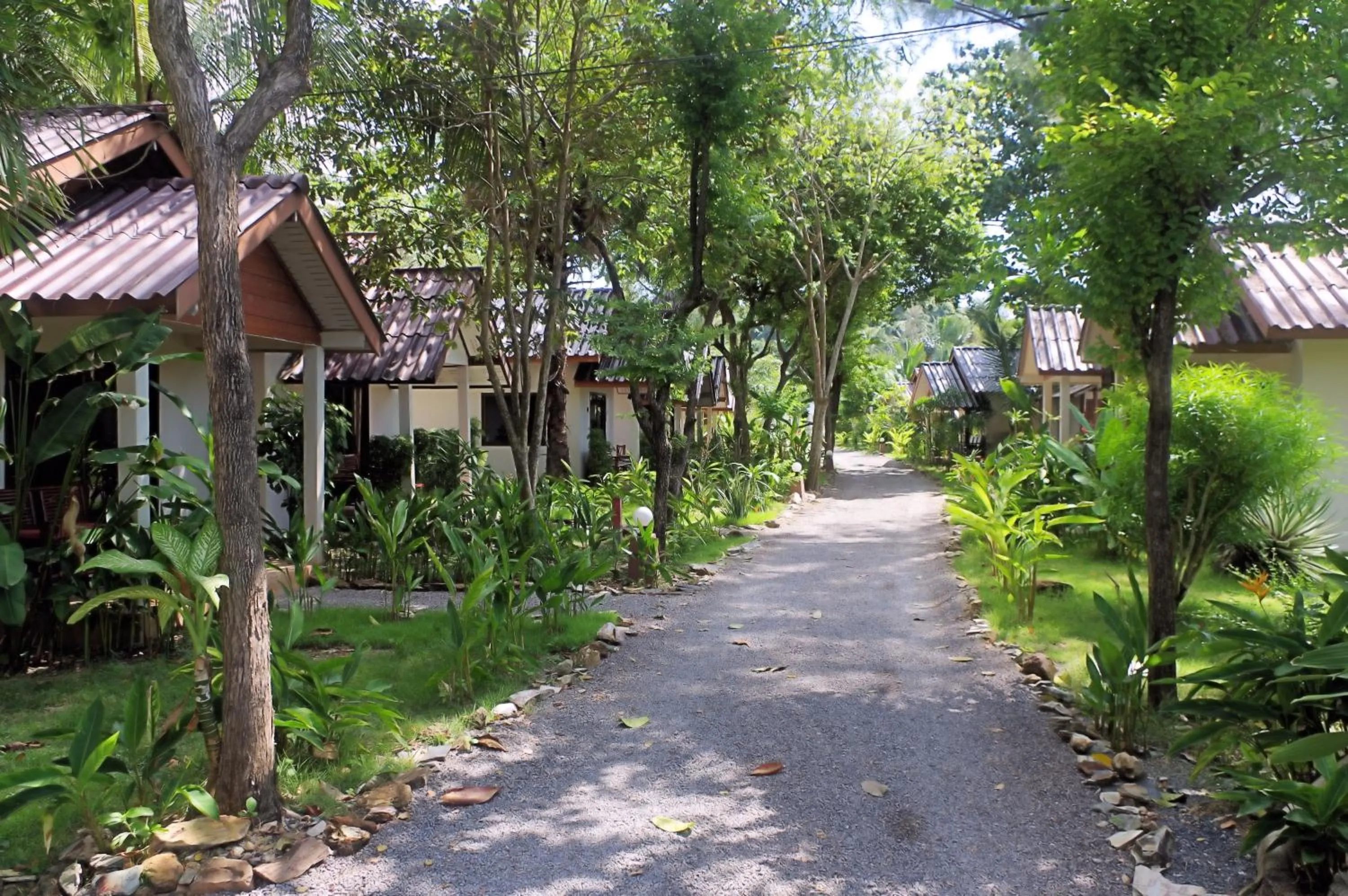 Garden in Thai House Beach Resort