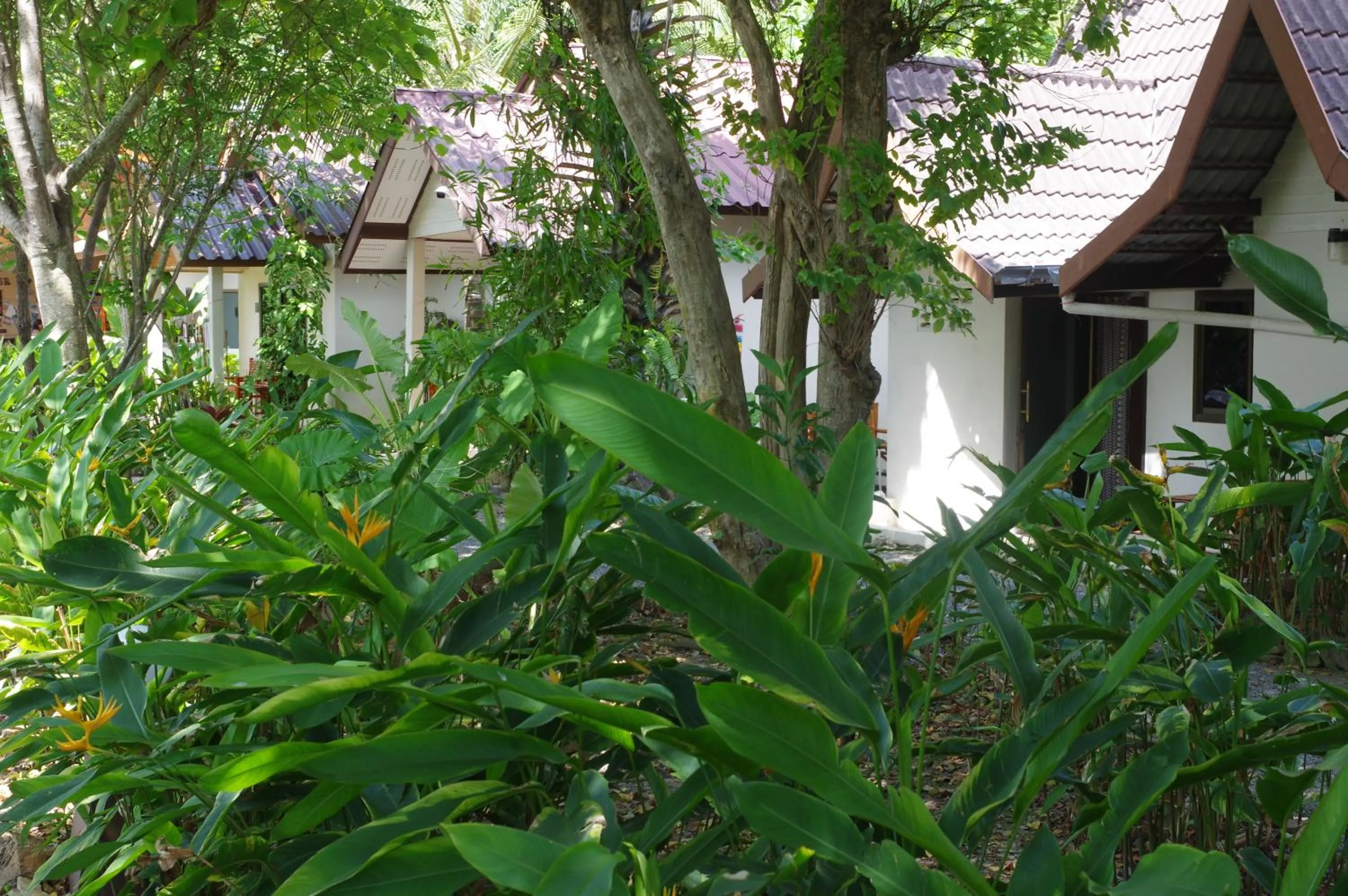 Garden view in Thai House Beach Resort