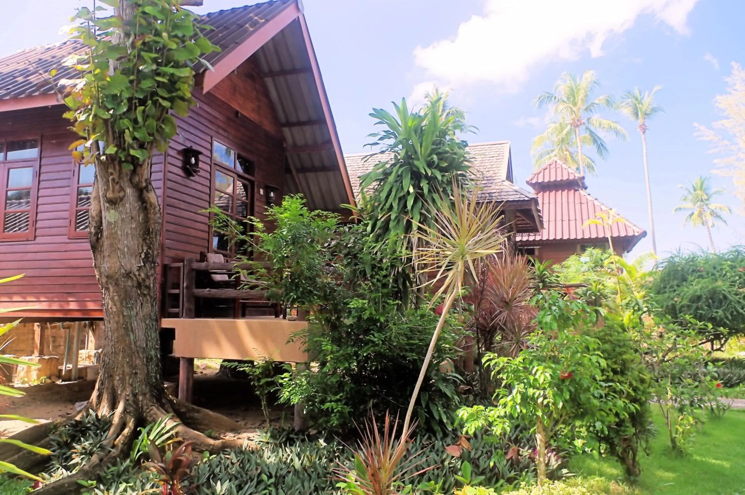 Garden in Thai House Beach Resort