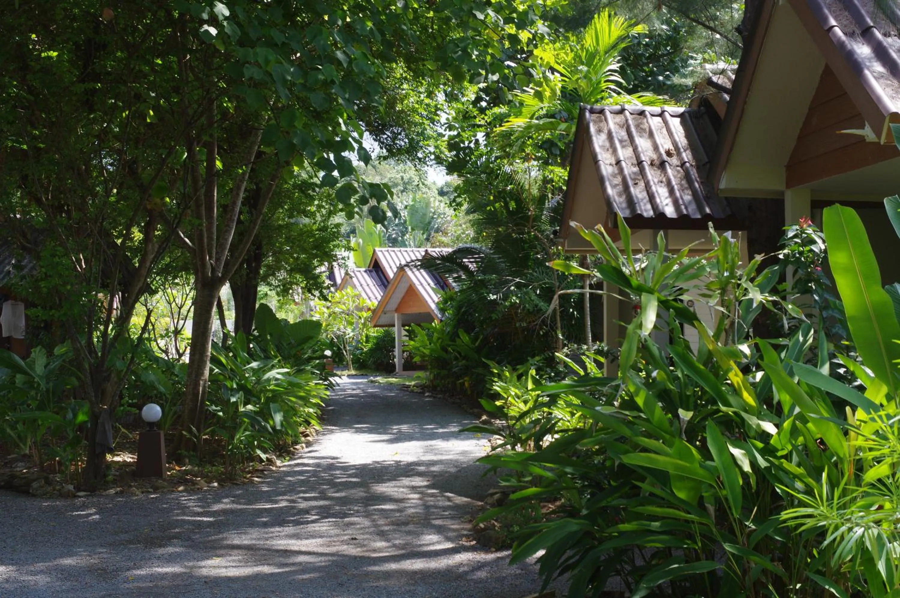 Garden view in Thai House Beach Resort