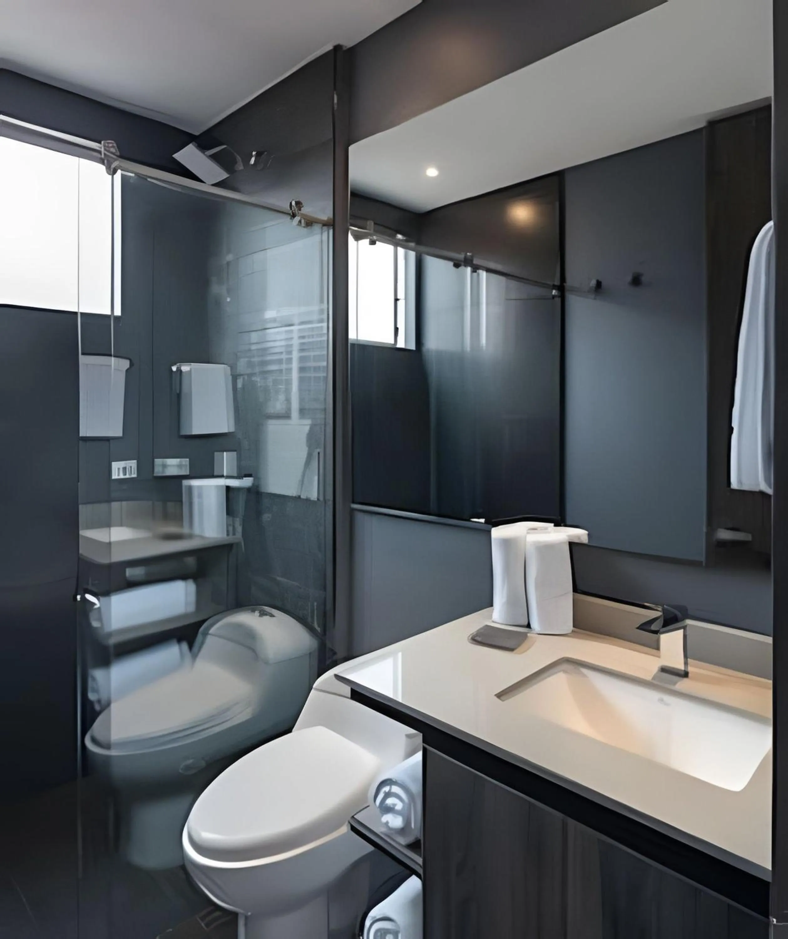 Toilet in Edificio Morph Chico