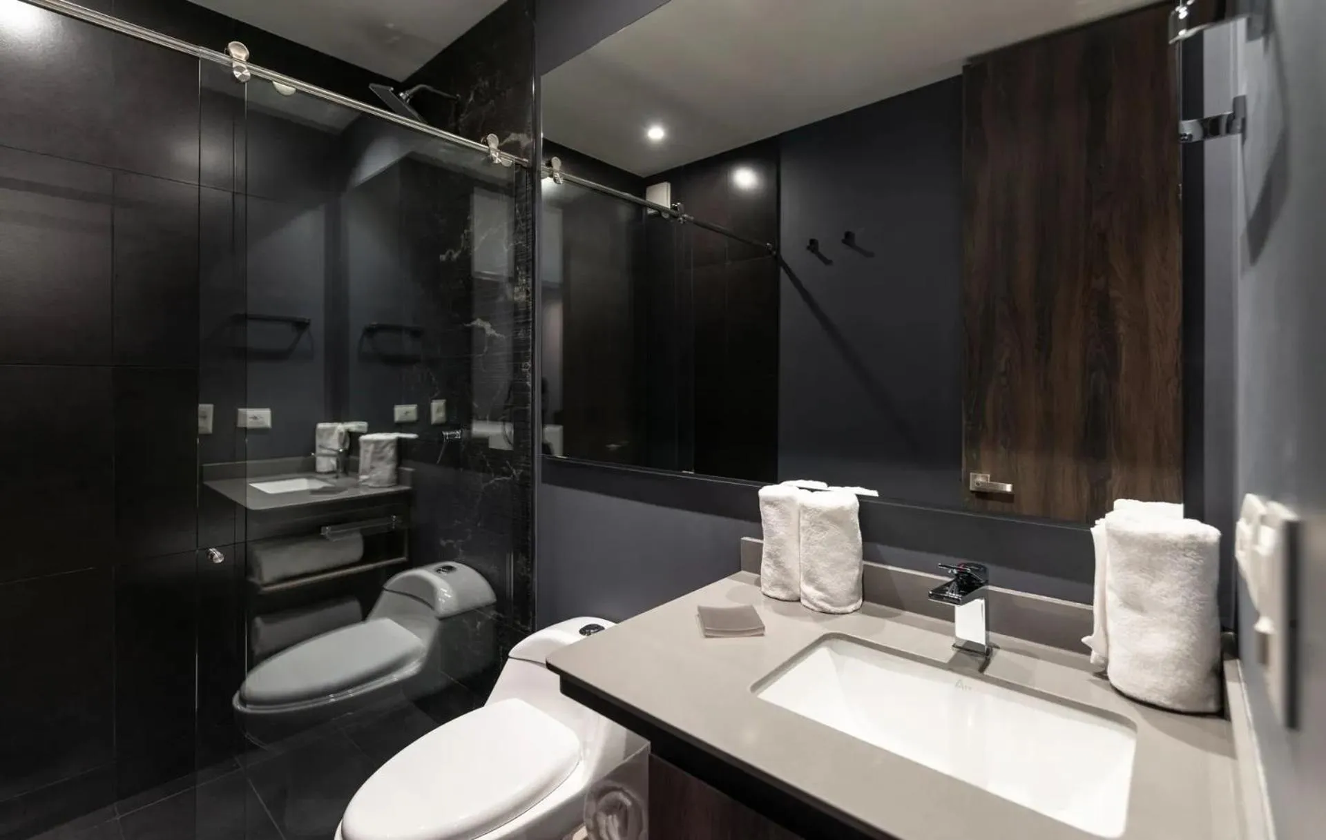 Toilet in Edificio Morph Chico