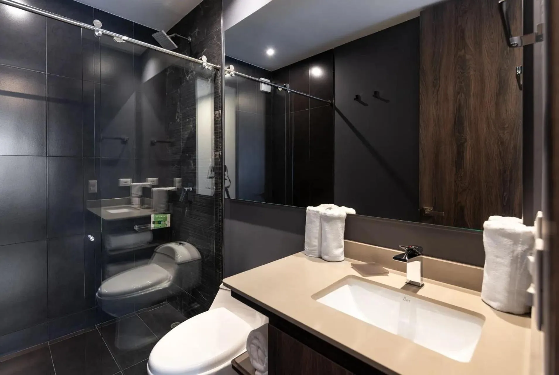 Toilet in Edificio Morph Chico