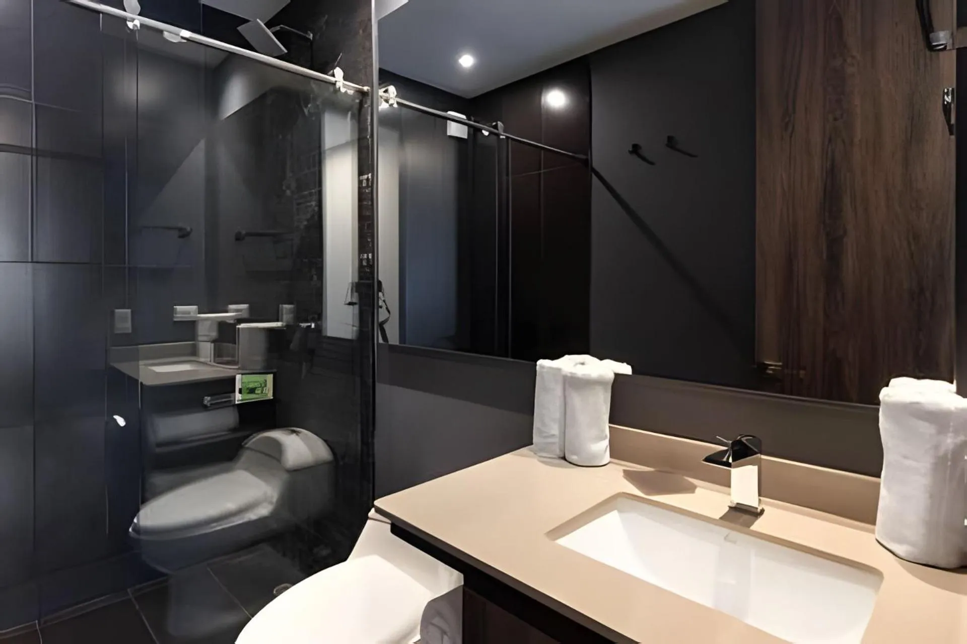 Toilet in Edificio Morph Chico