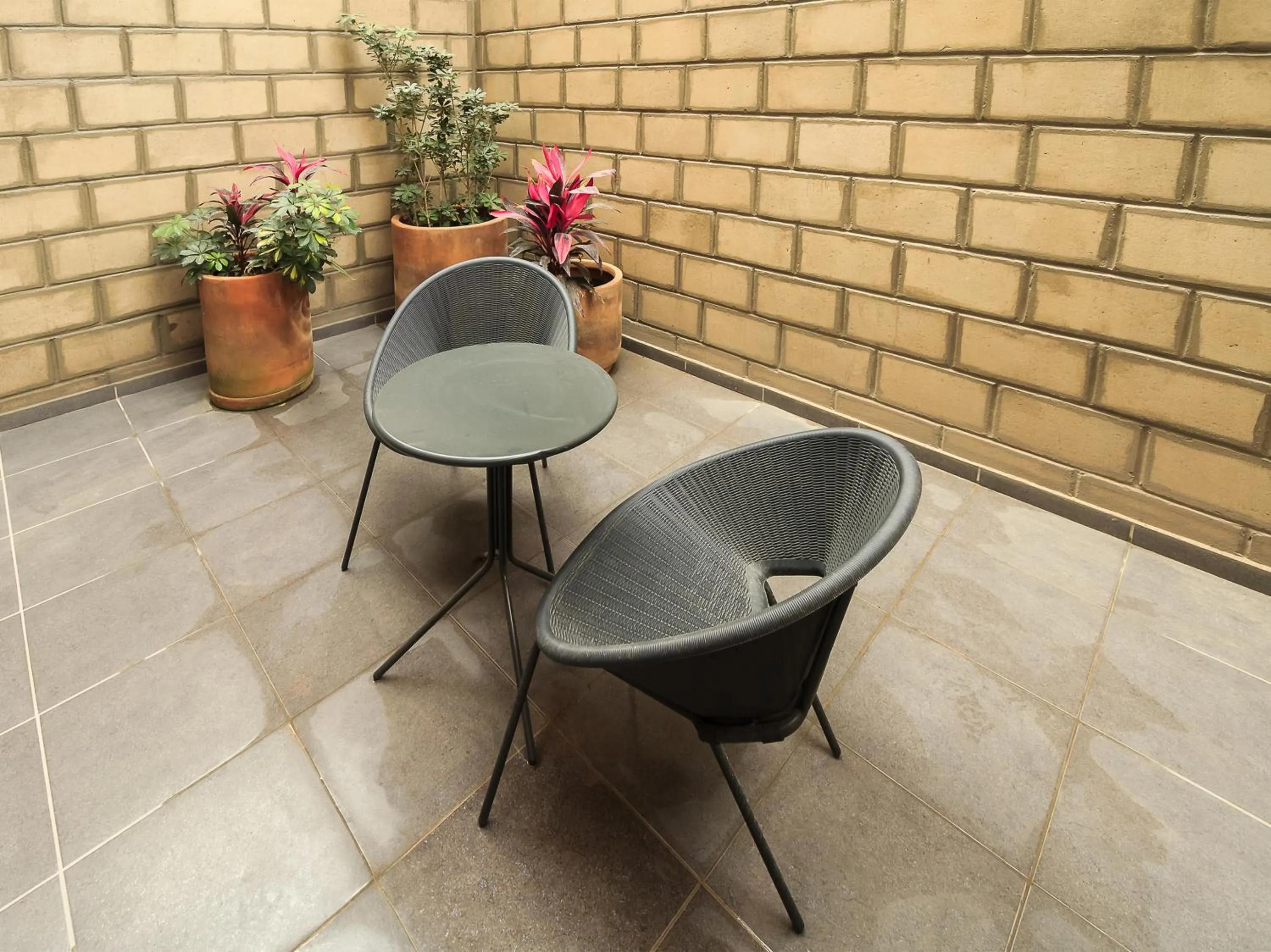 Patio in Tribu Centro Histórico