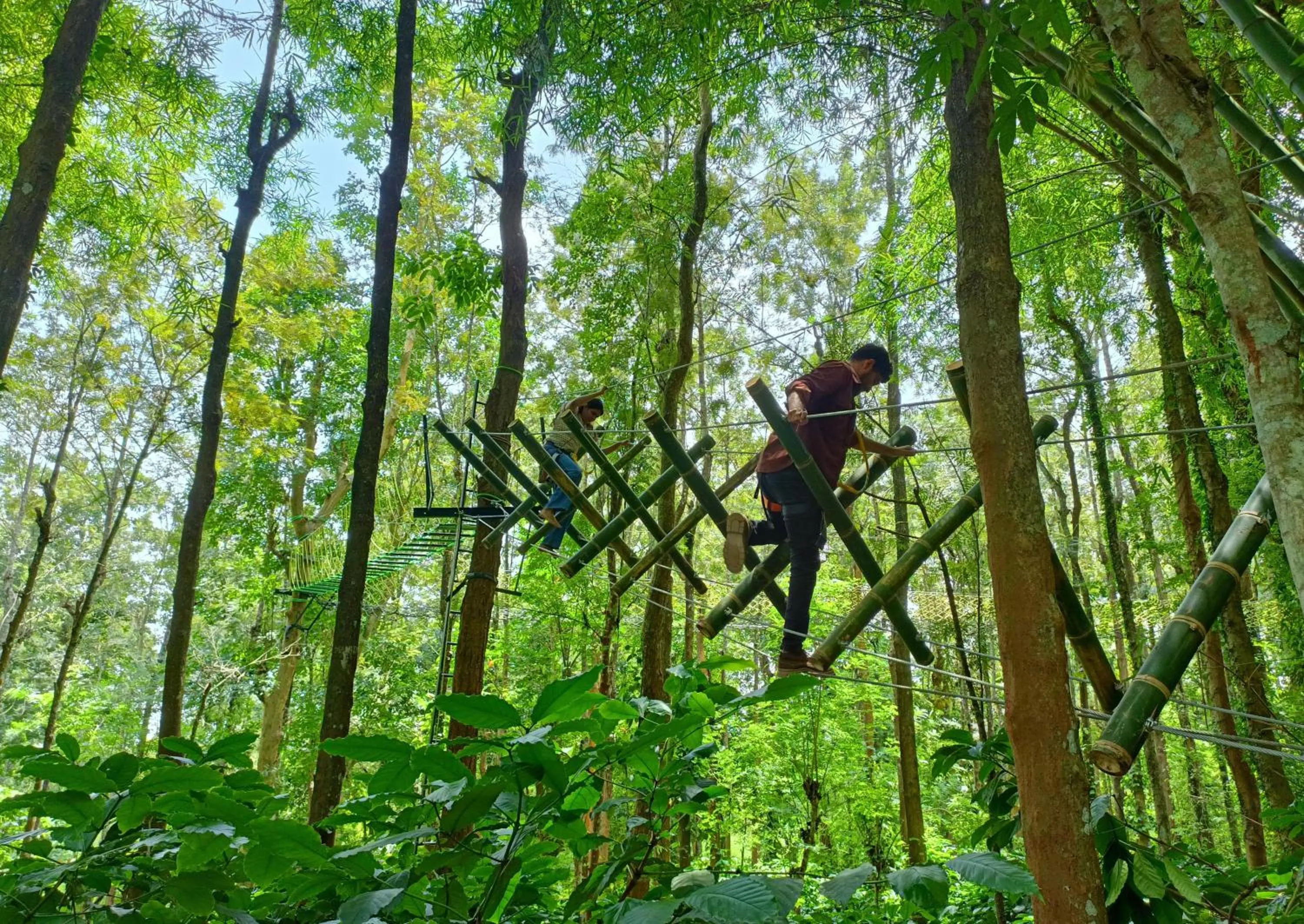 Activities in Adrak Mountain Mist Forest Resort