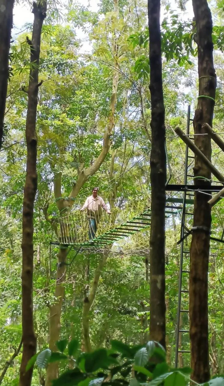 Activities in Adrak Mountain Mist Forest Resort