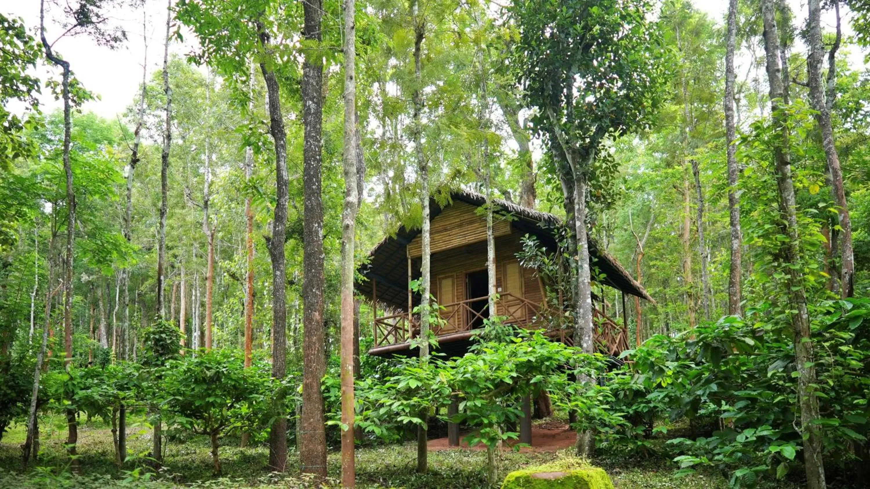 Property building in Adrak Mountain Mist Forest Resort