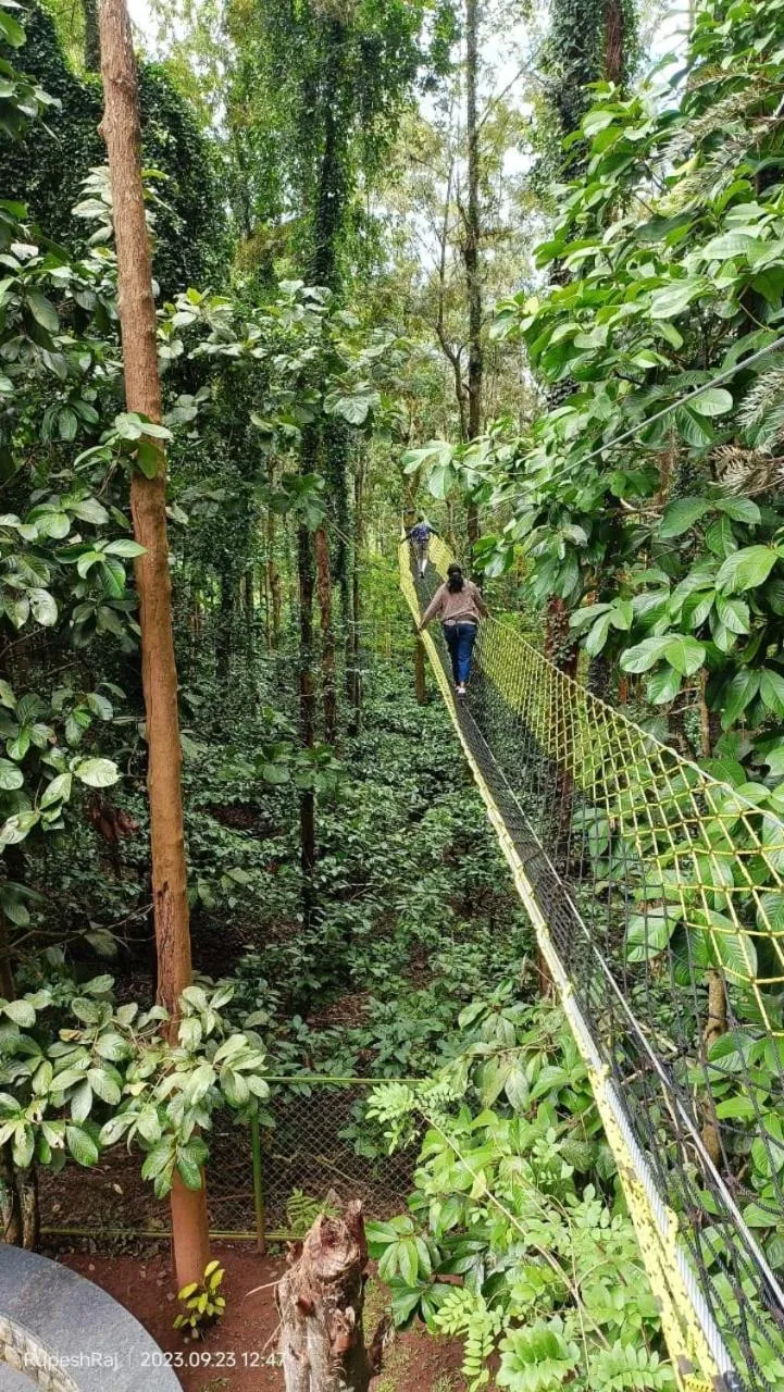 Activities in Adrak Mountain Mist Forest Resort