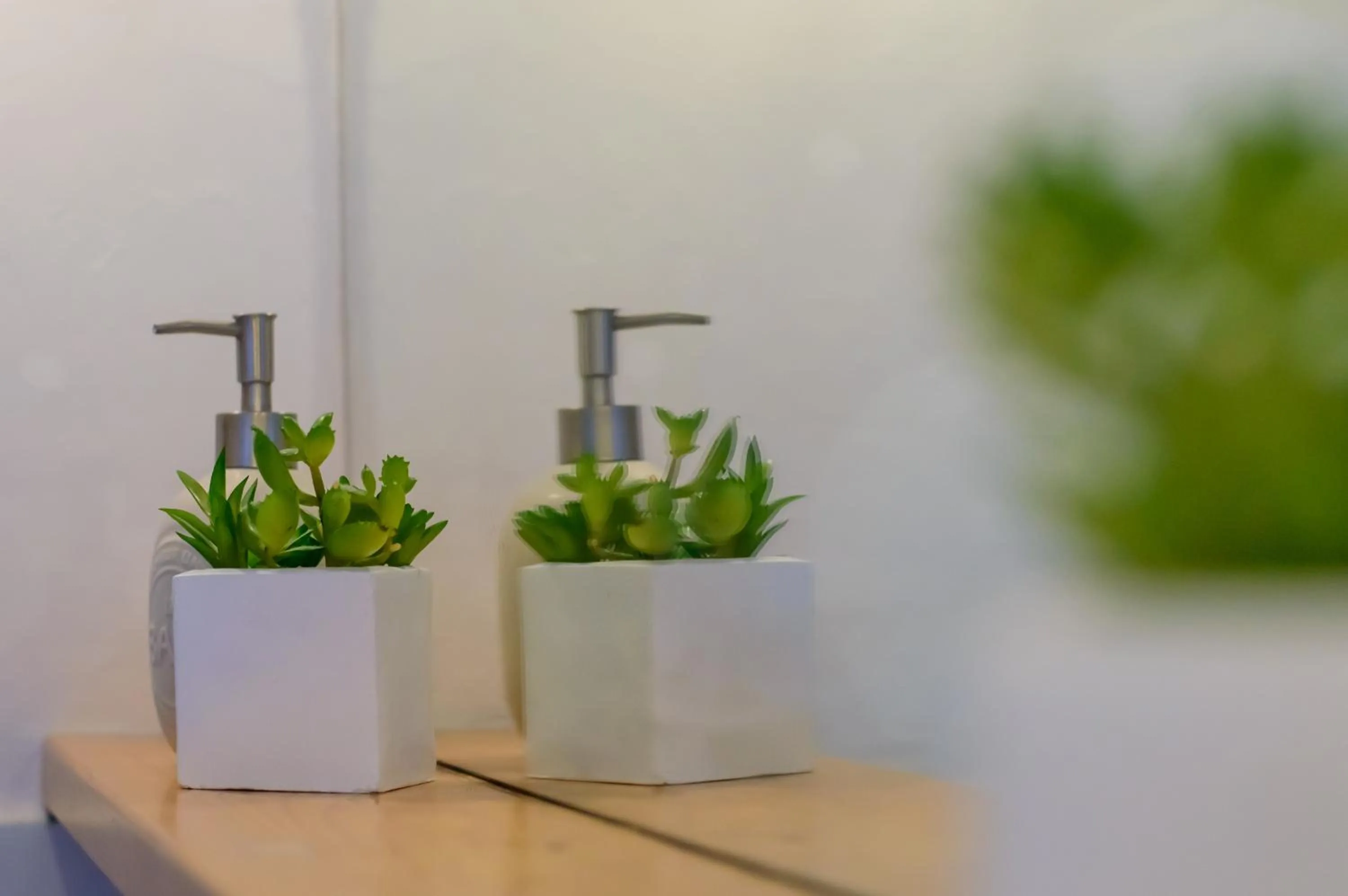 Homelink Firenze - Charlotte