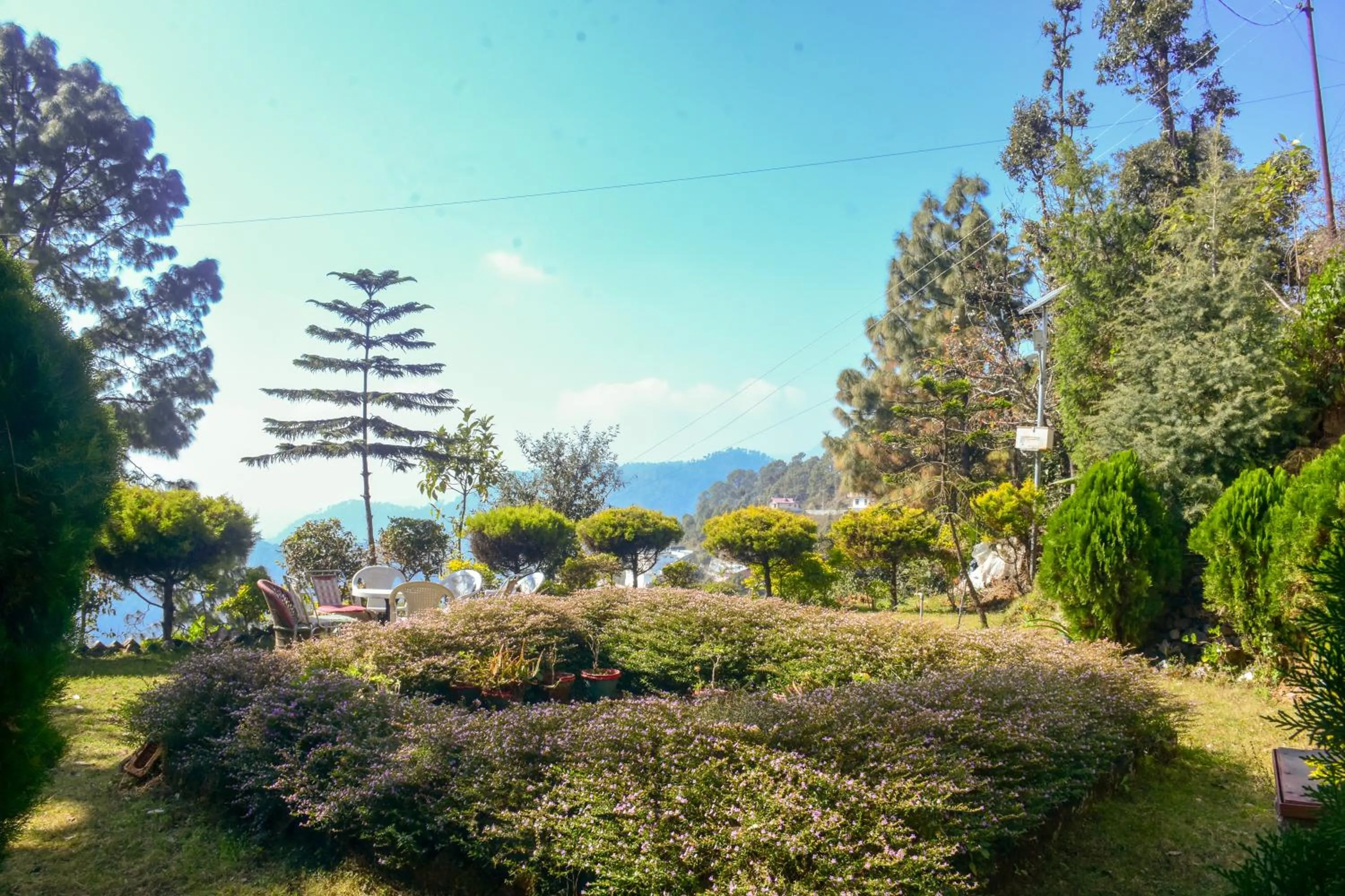 Garden in Hotel Goludev Valley View