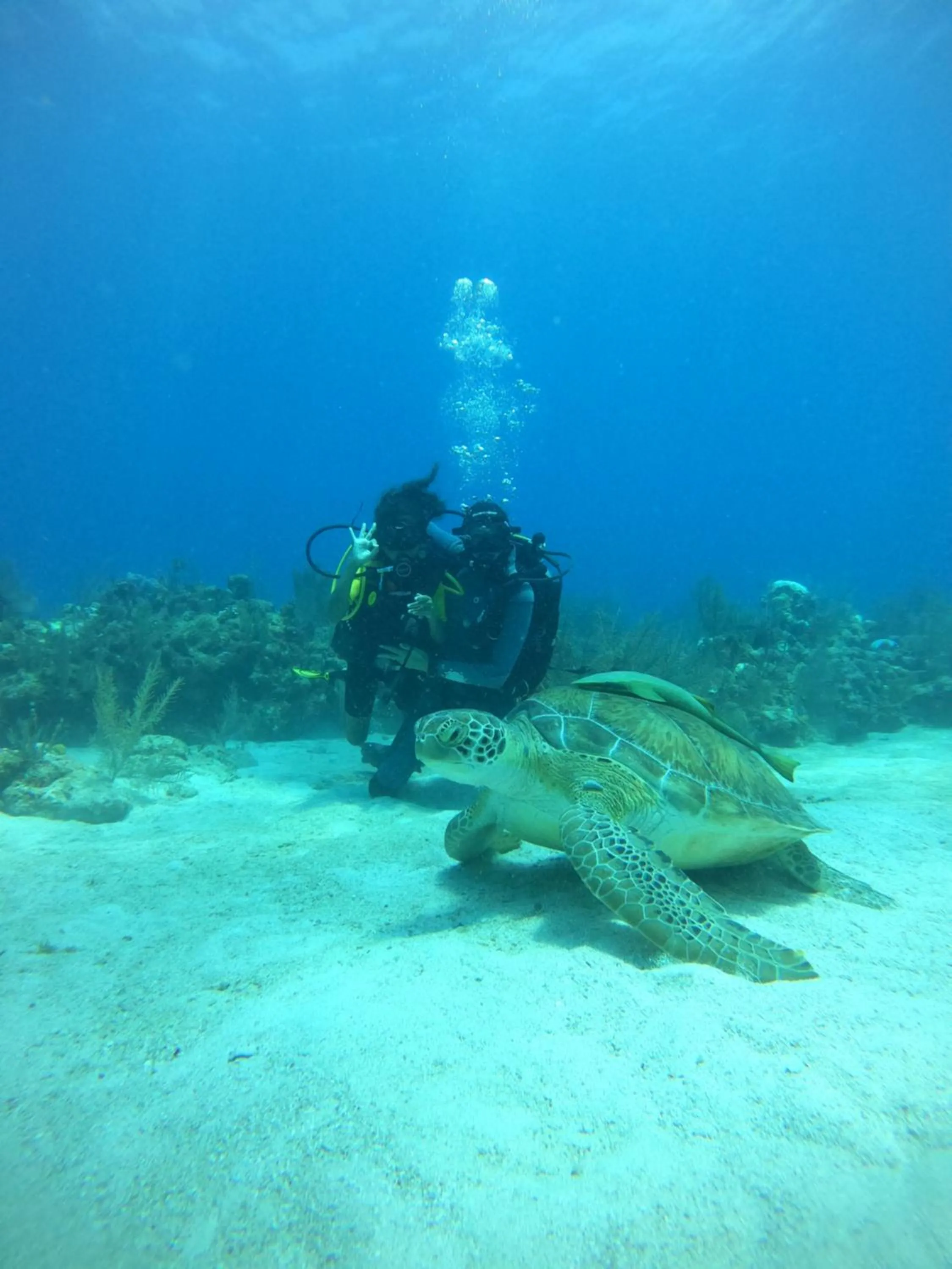 Activities in Itza Hotel Akumal