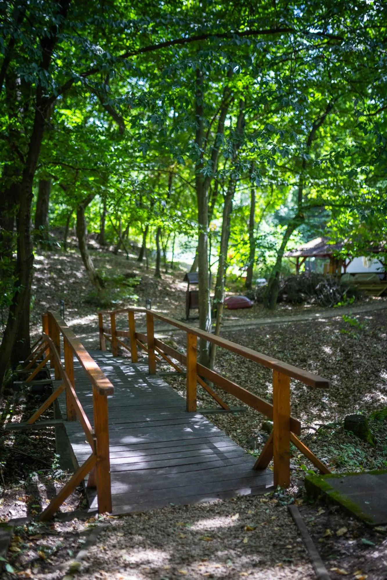 Natural landscape in 4 Évszak Völgyhotel