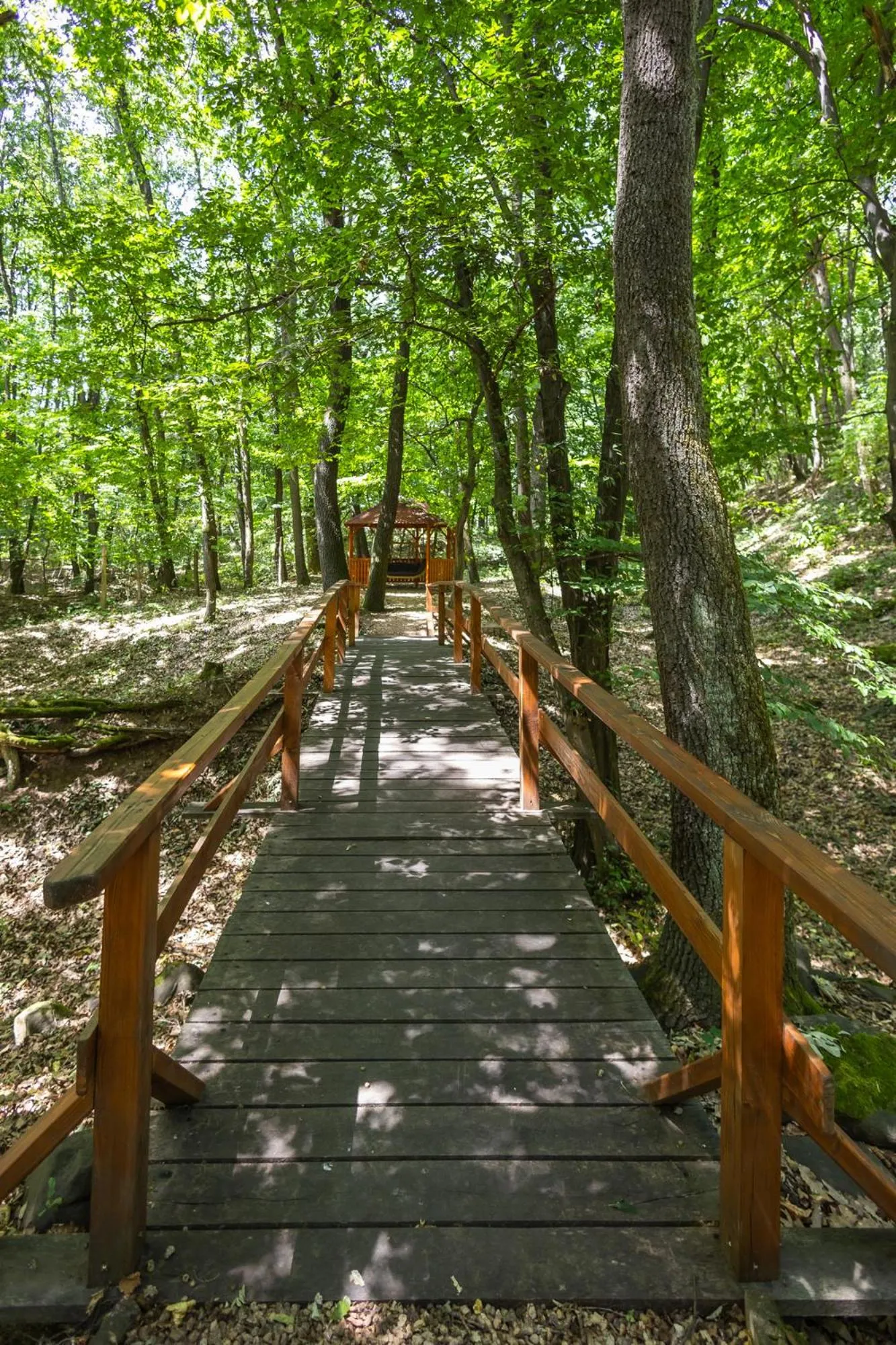 Natural landscape in 4 Évszak Völgyhotel