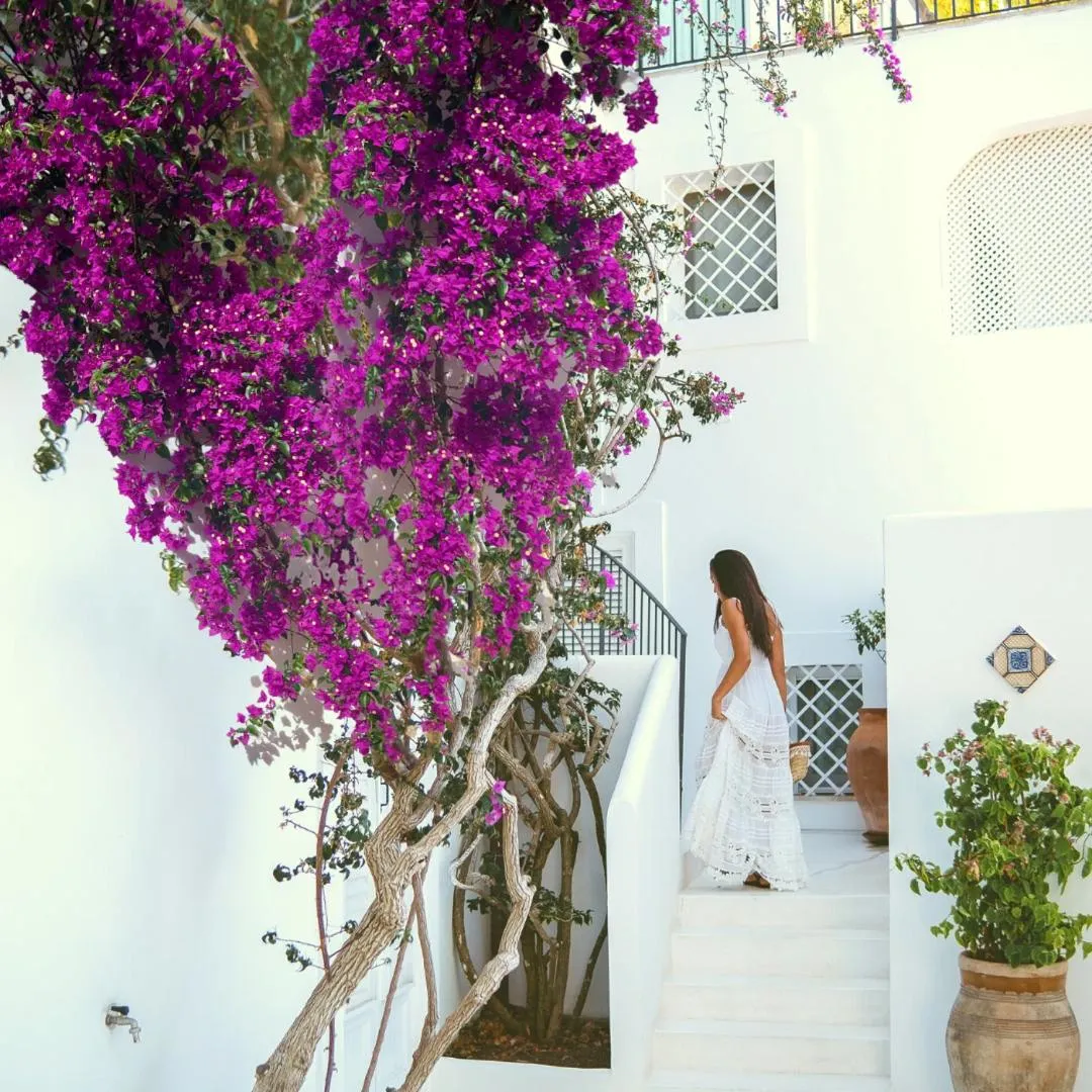 Decorative detail in Le Calette Bay