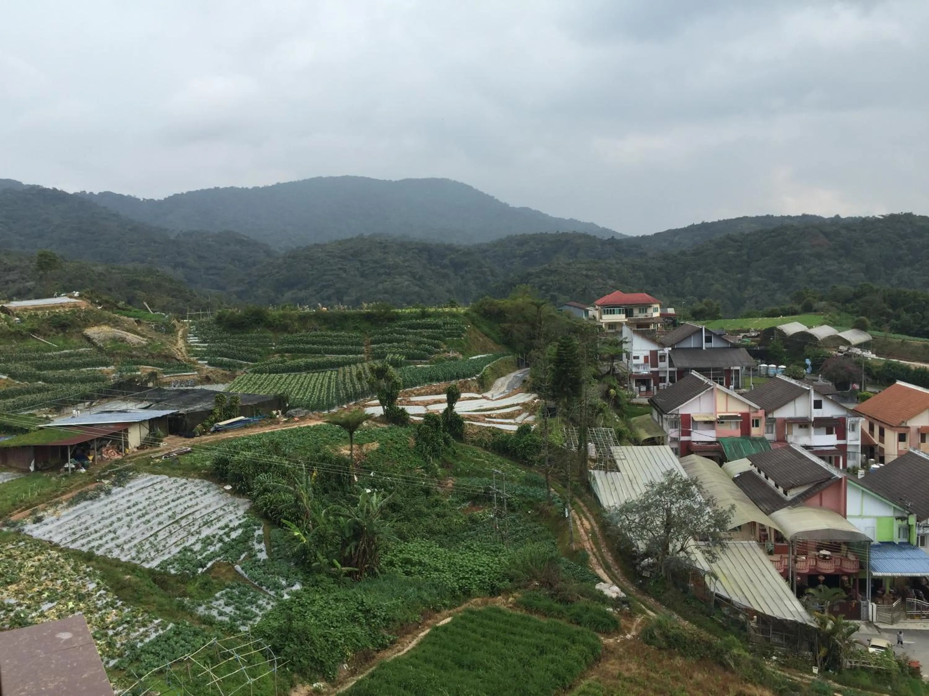 Cameron One Room Apartment @ Crown Imperial Court Brinchang