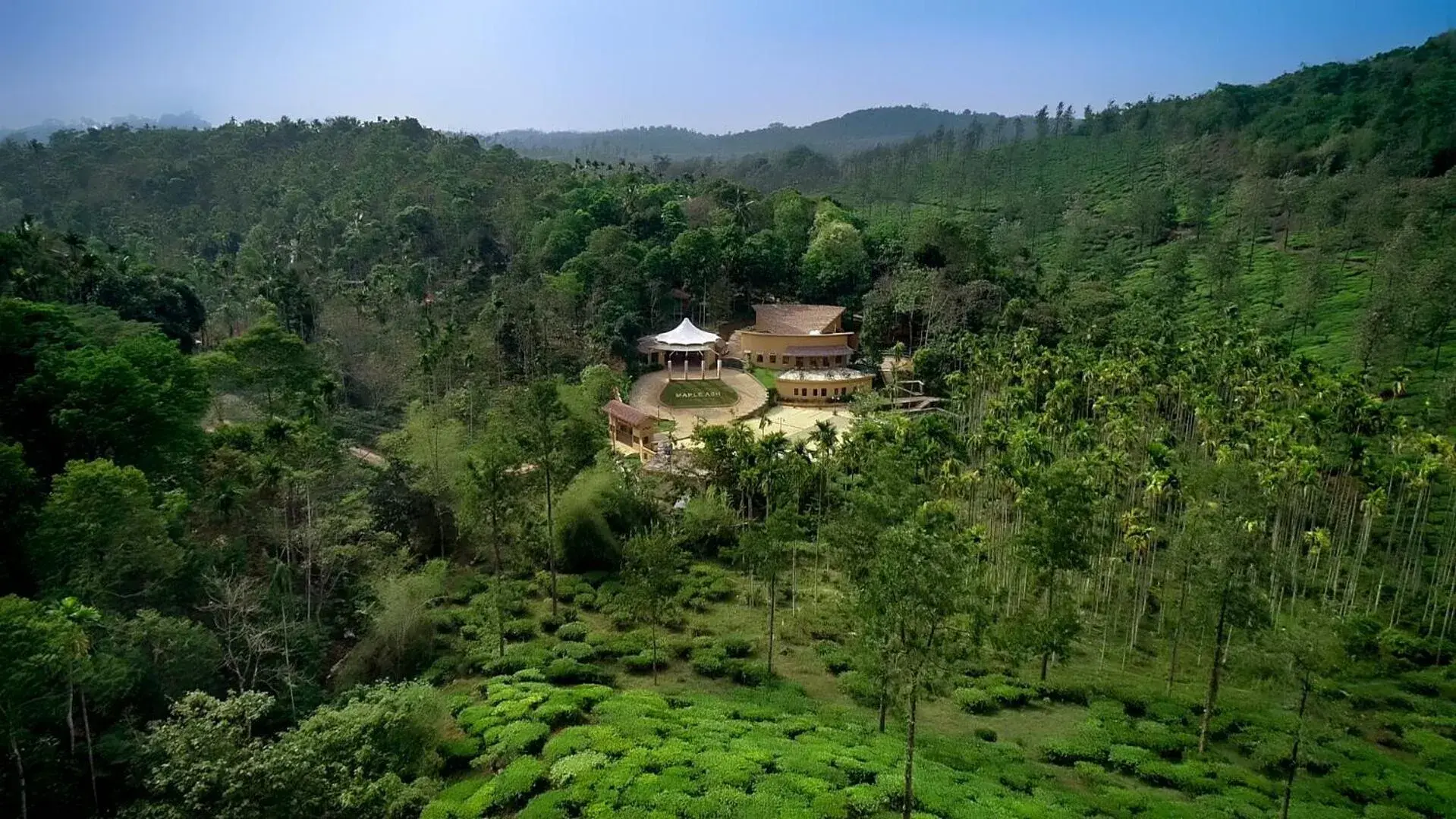 Maple Ash Resort Maple Ash Resort