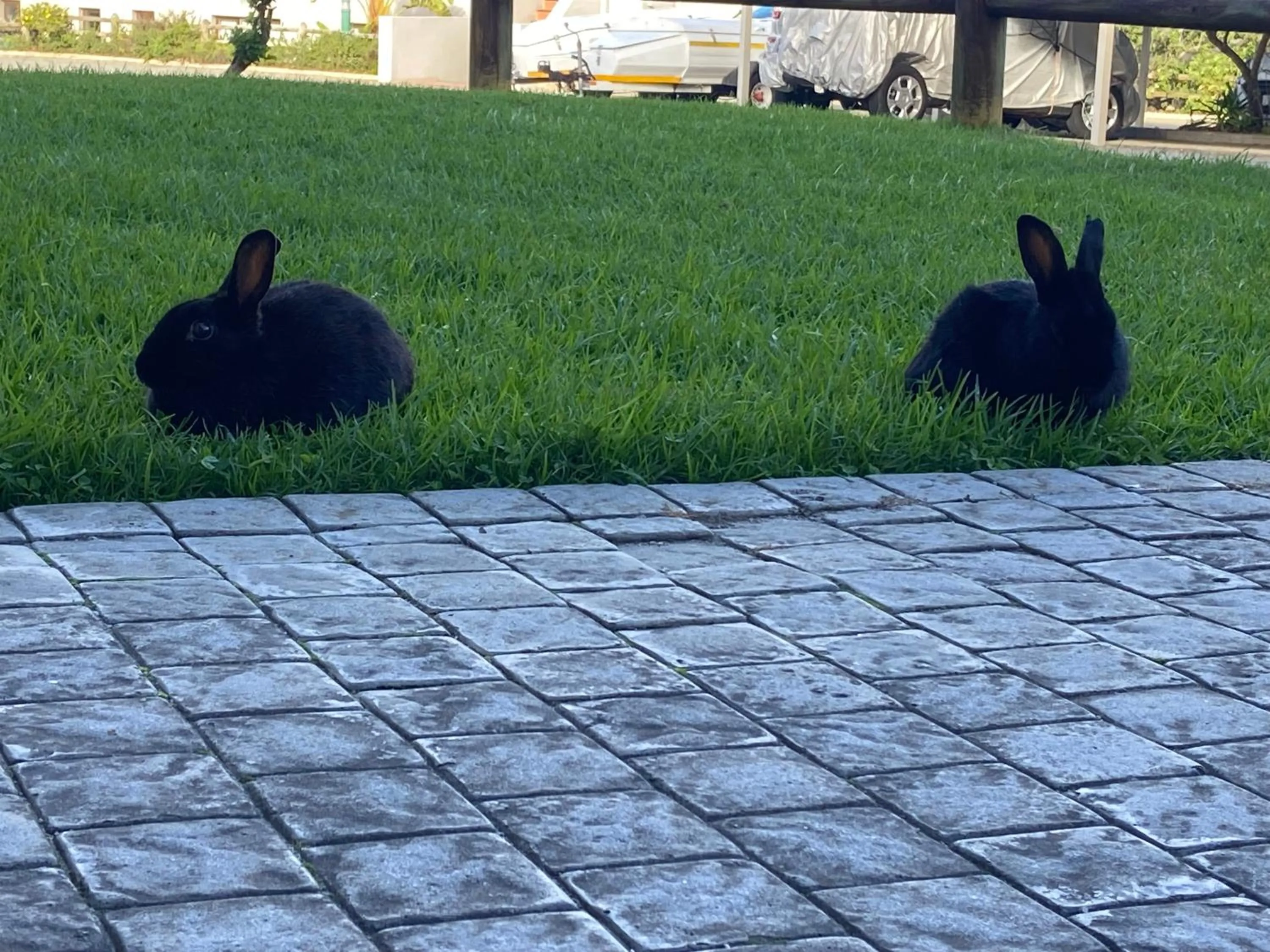 Garden view in Castleton Self-Catering Accommodation