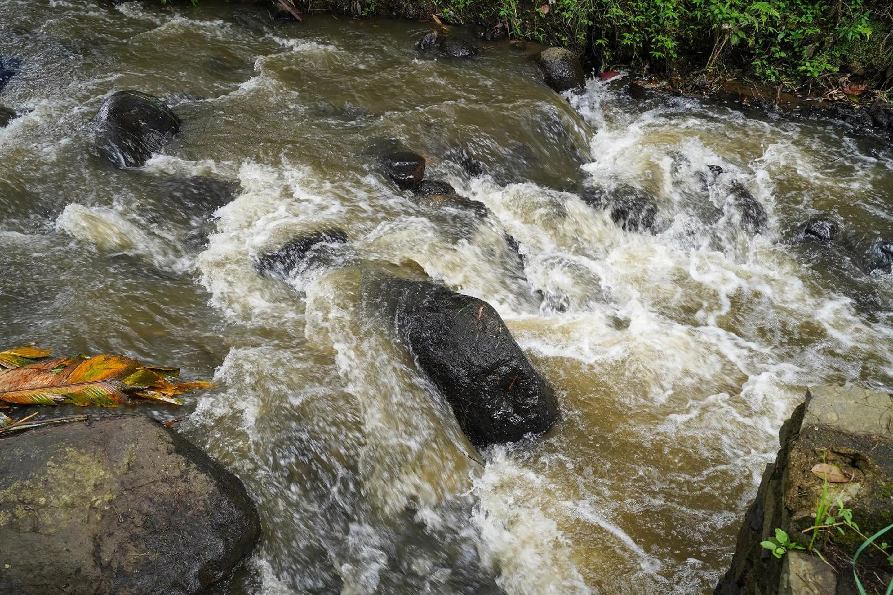 Other in OYO Homes 91006 Eco Tourism Desa Cibodas Areng 5 Syariah