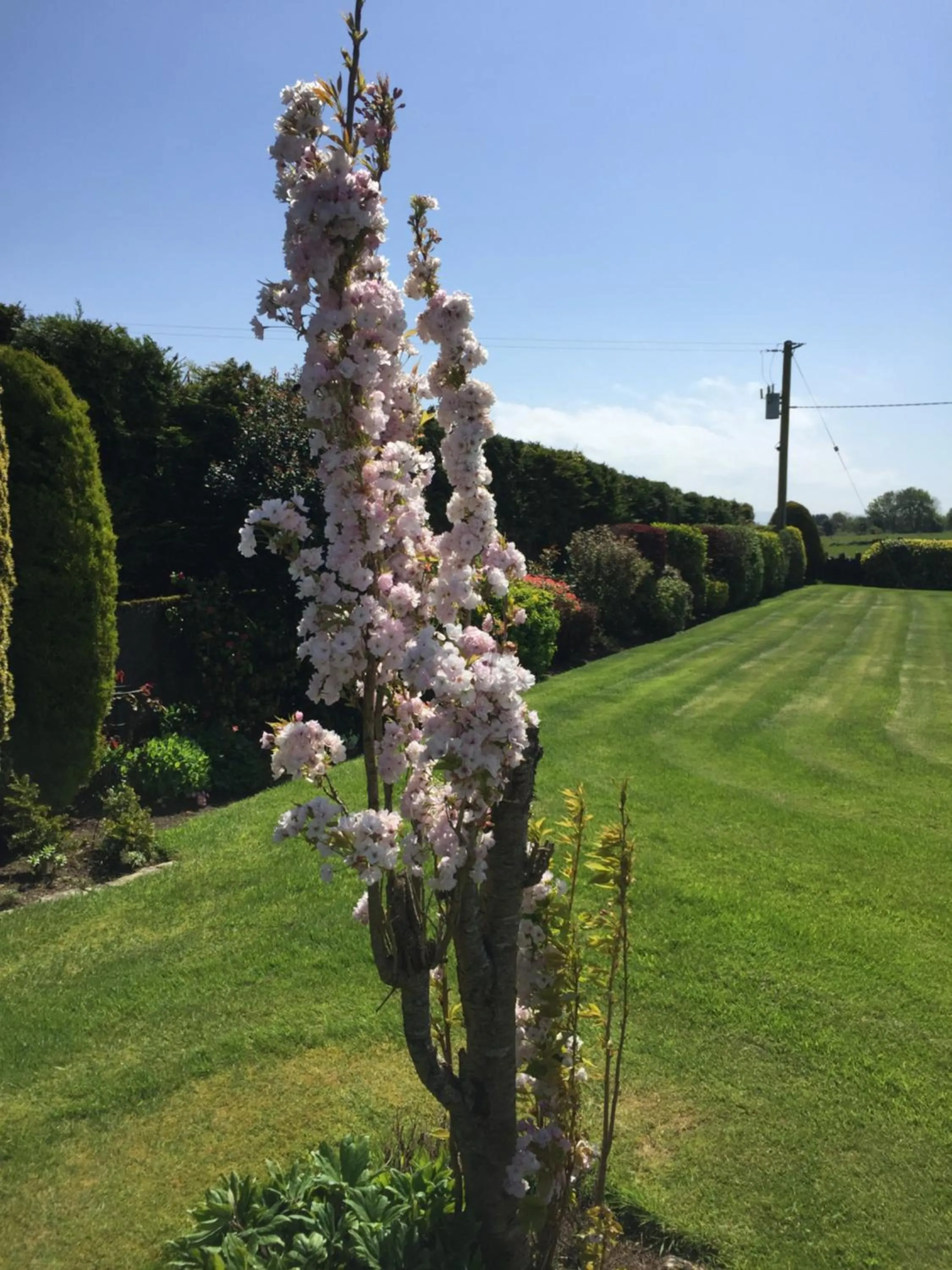 Garden in Seacrest B&B