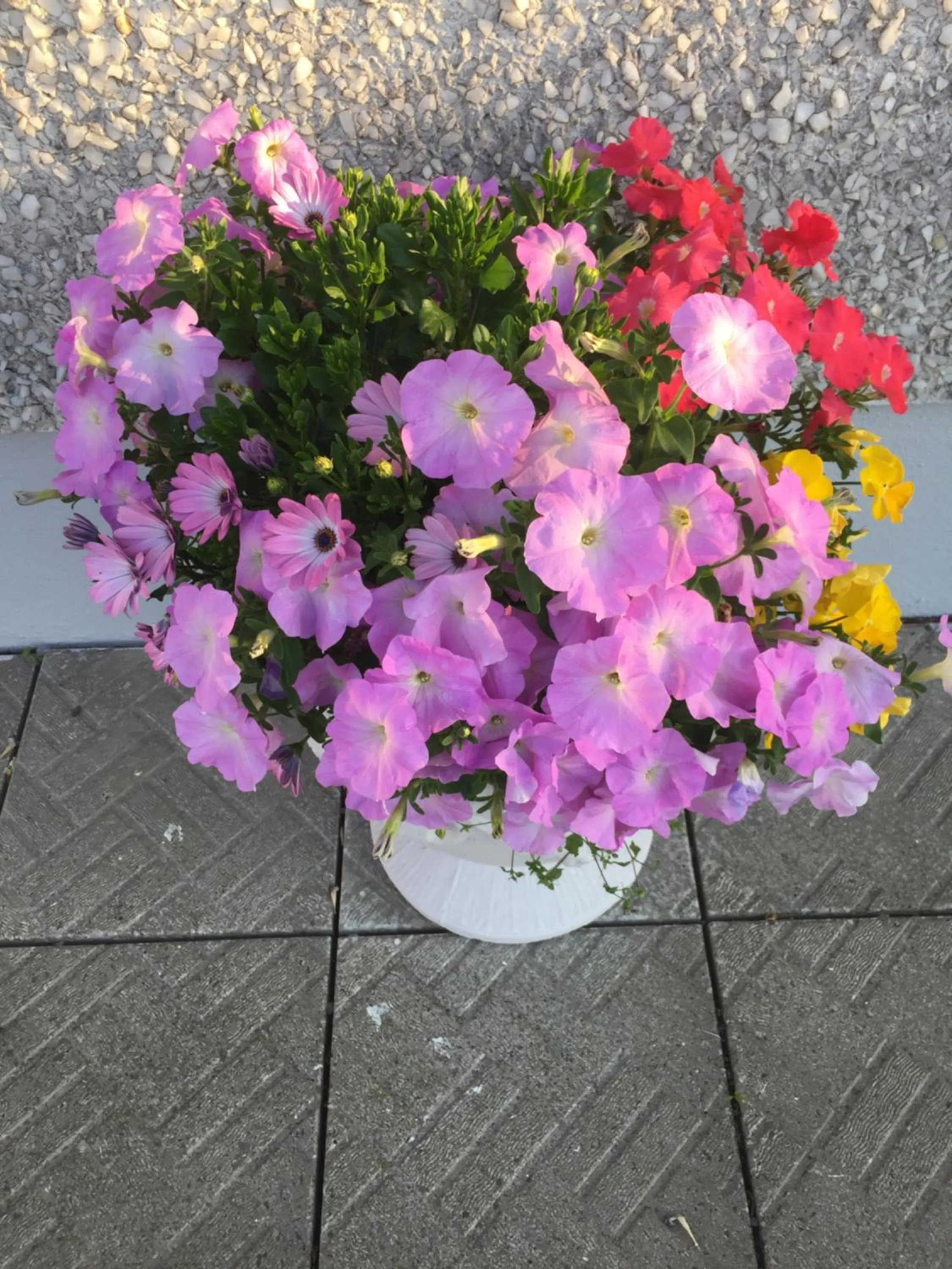 Garden in Seacrest B&B