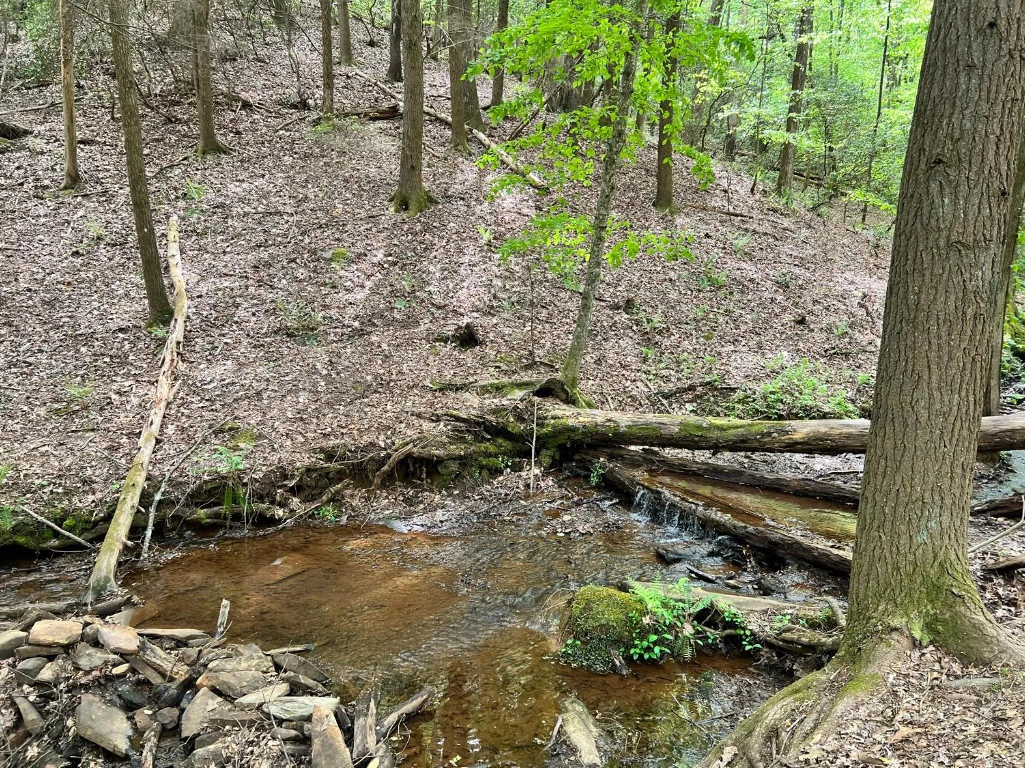 Log Cabin with Mountain View and Privacy