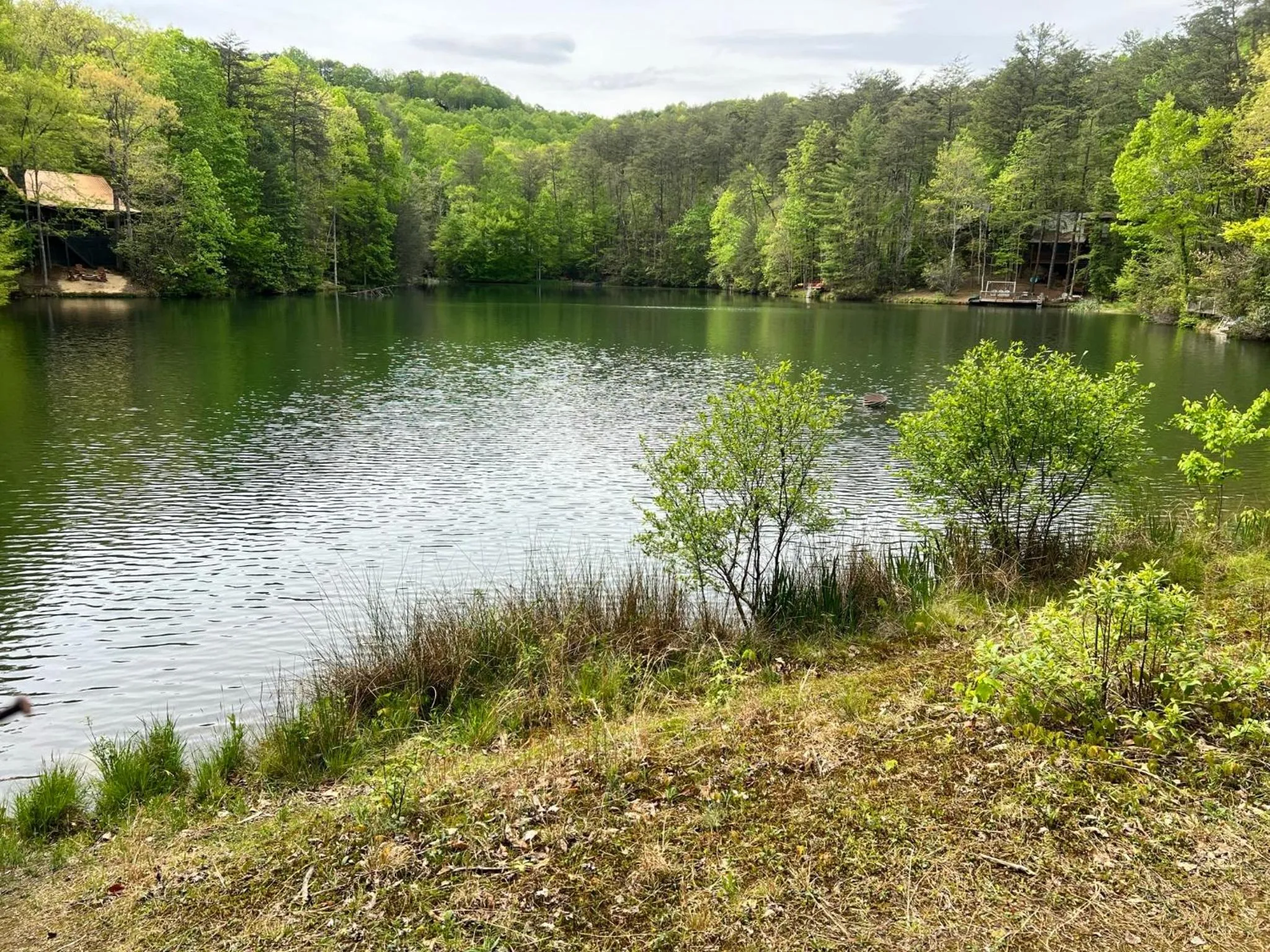 Log Cabin with Mountain View and Privacy