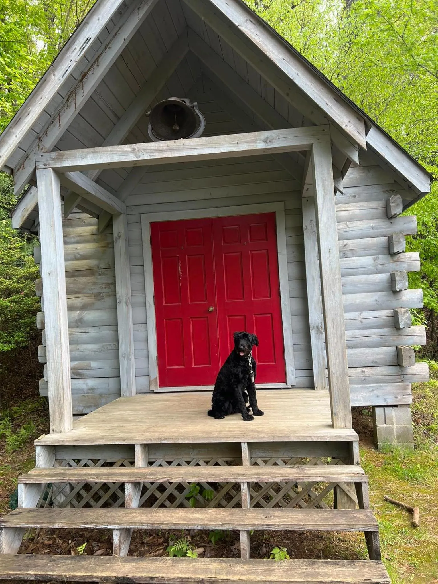 Log Cabin with Mountain View and Privacy