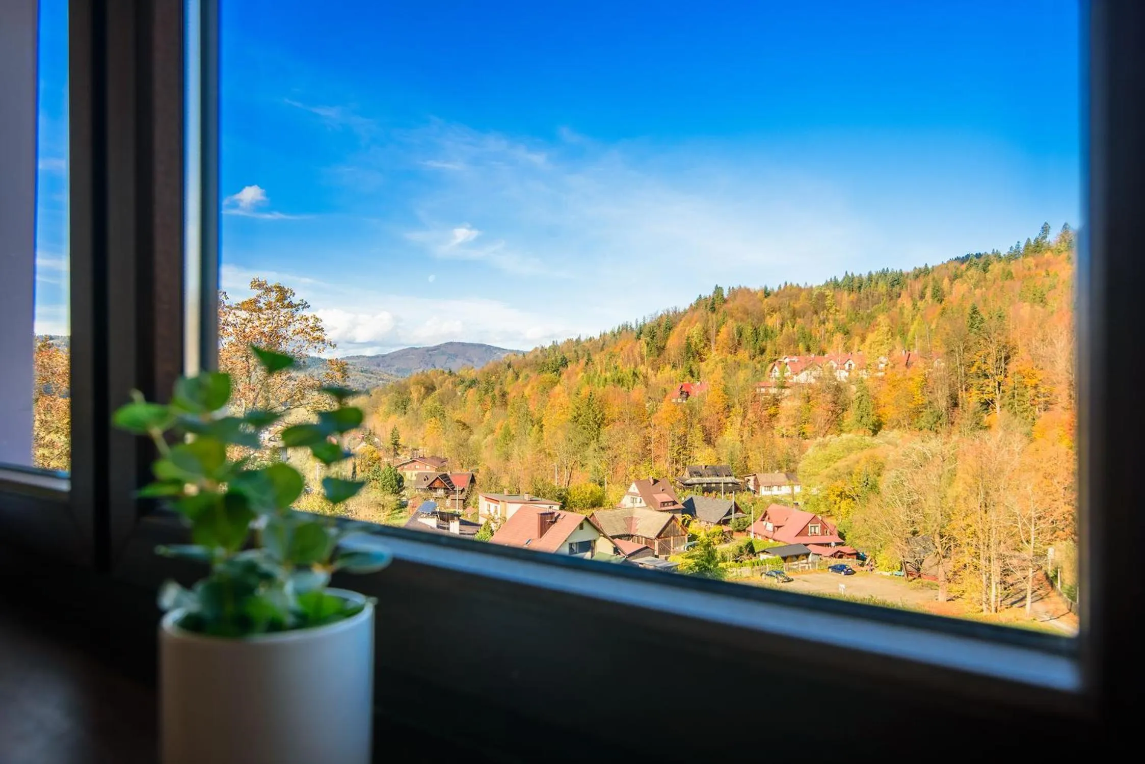Natural landscape in Hotel Podium