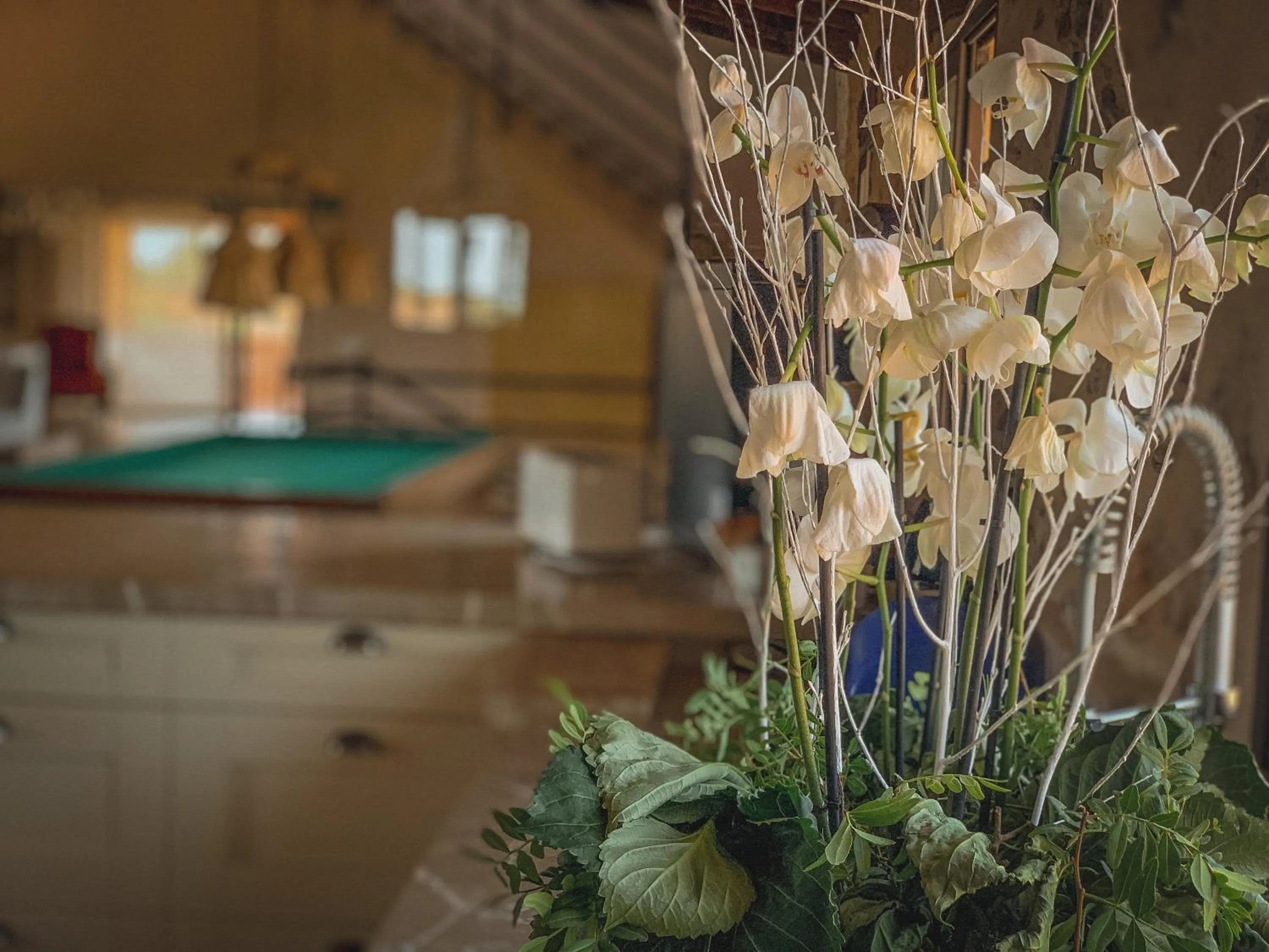 Property building in Finca Gomera - Agroturismo Hotel