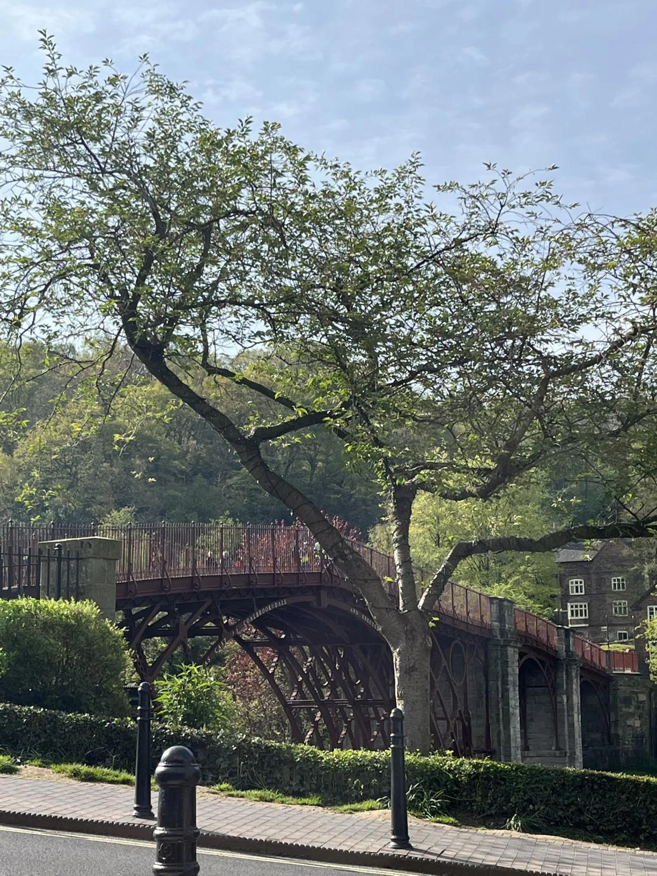 View (from property/room) in The Tontine Hotel & Bar
