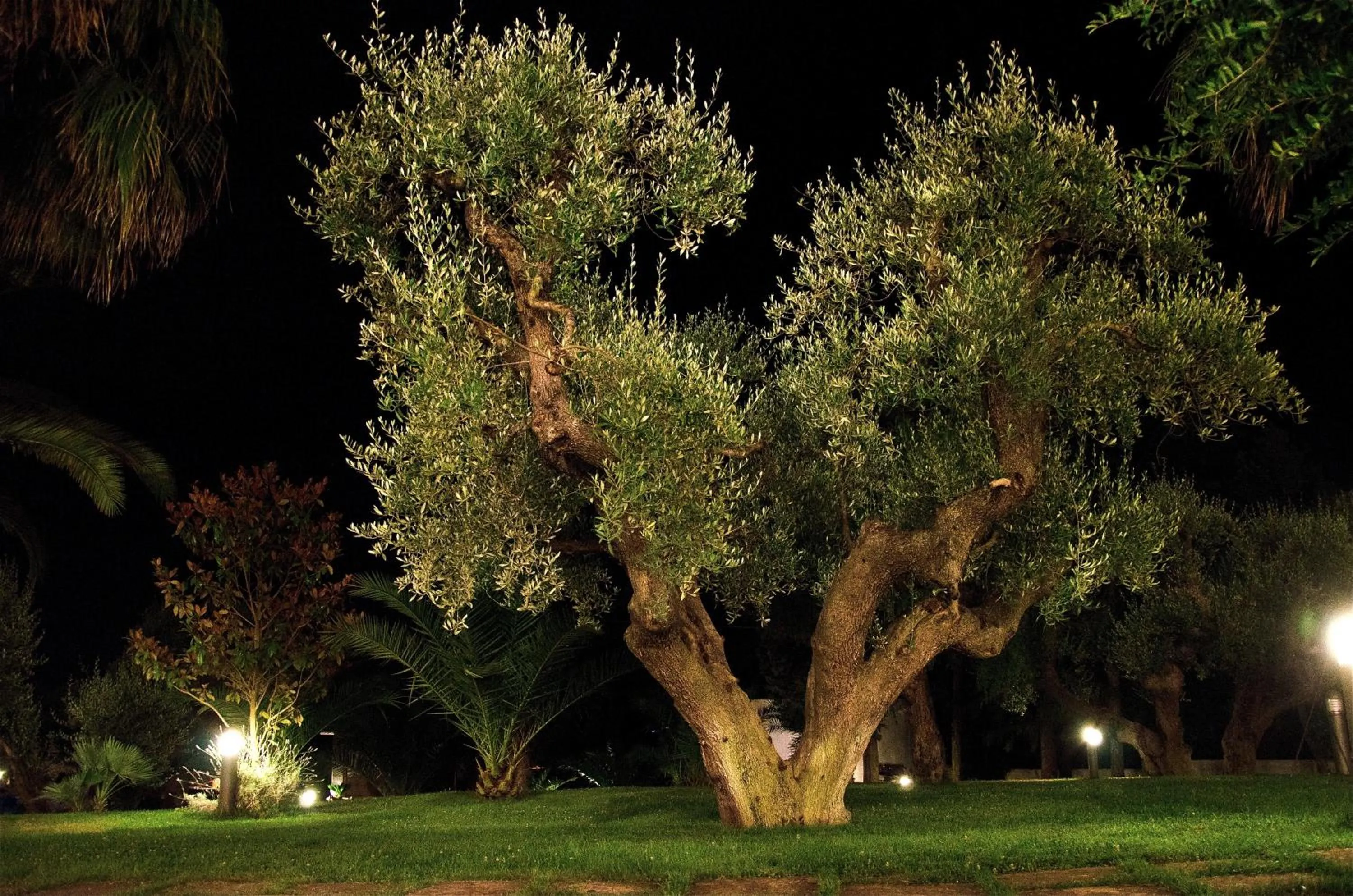 Città Bianca Country Resort