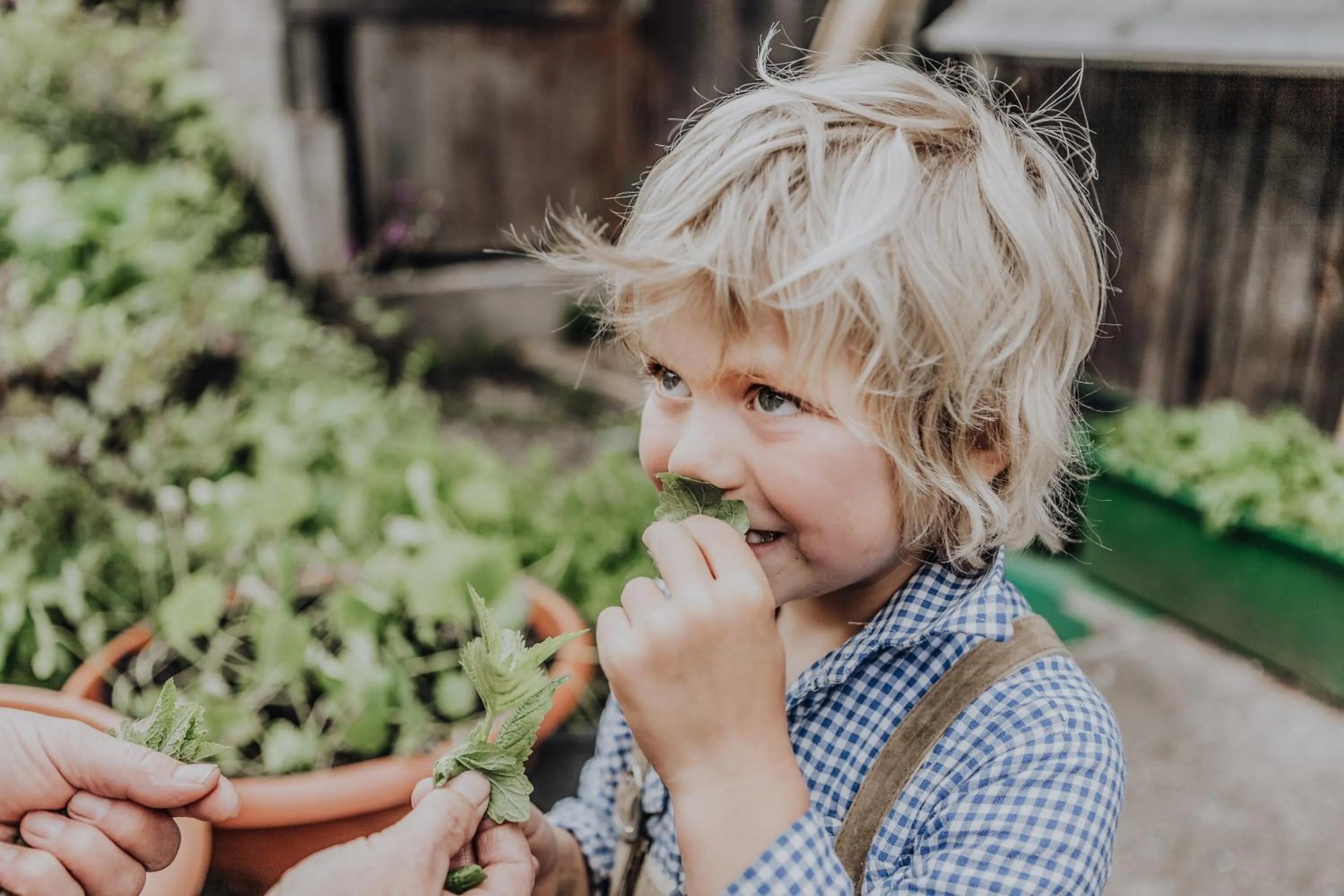 Activities in Biohof Ebengut