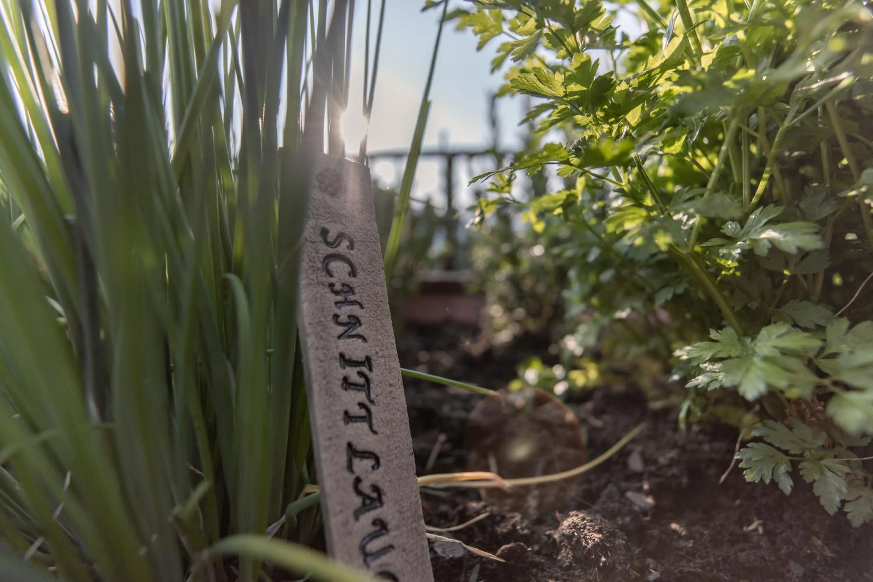 Garden in Biohof Ebengut
