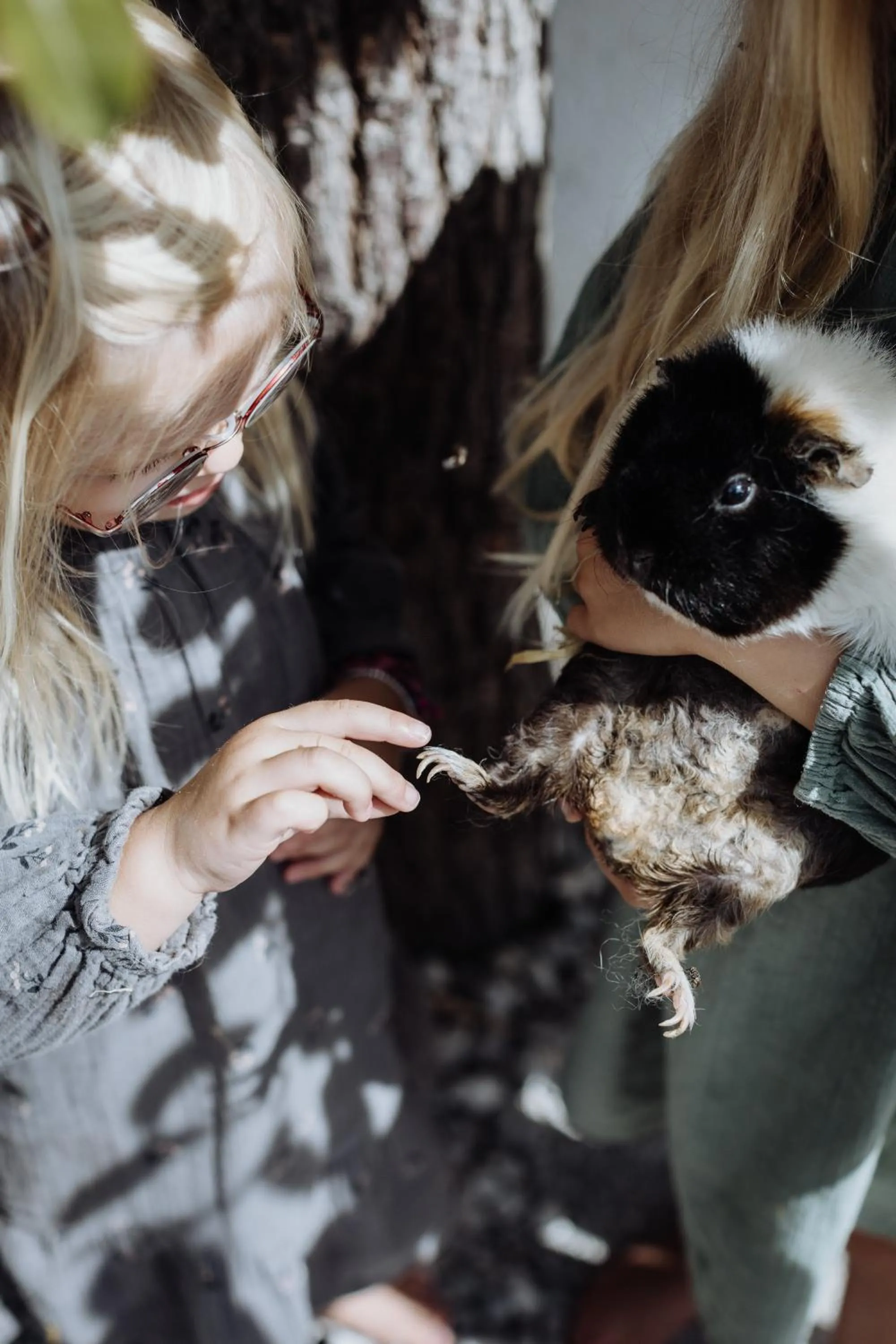 Animals in Biohof Ebengut