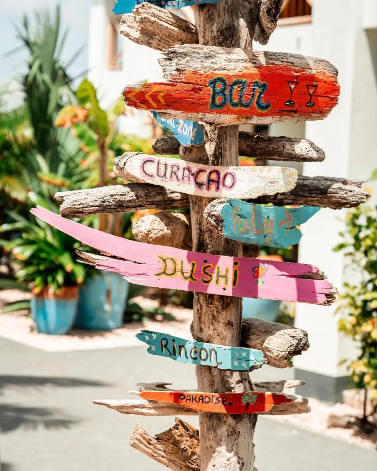 Bloozz resort Bonaire