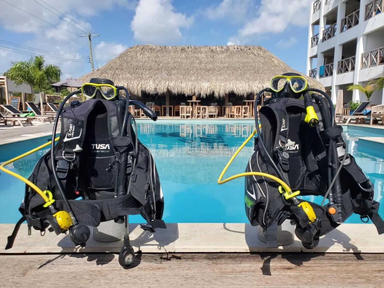Diving in Bloozz resort Bonaire