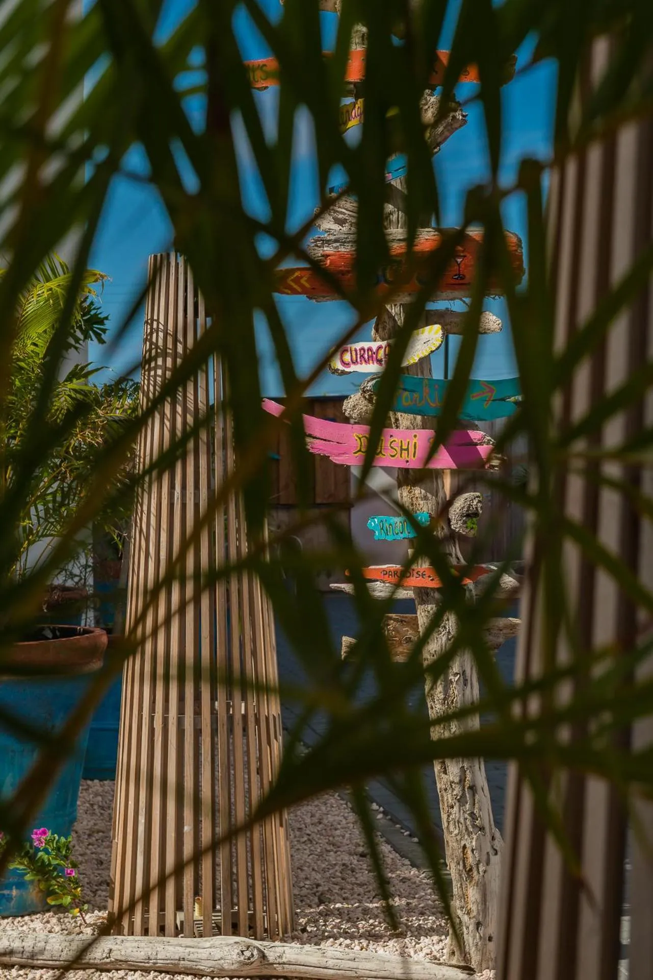 Bloozz resort Bonaire