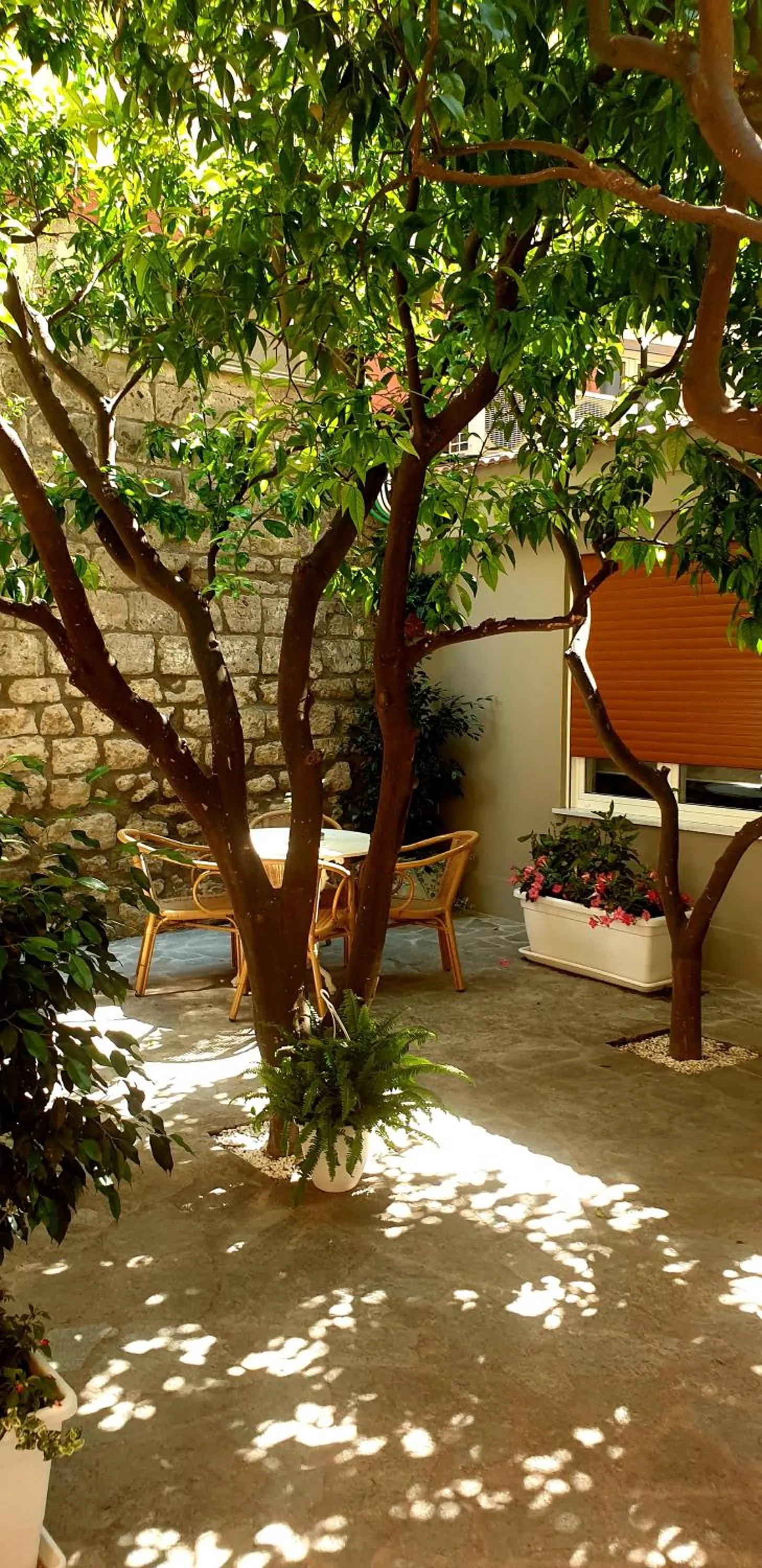 Property building in Casa Dominova de Luxe